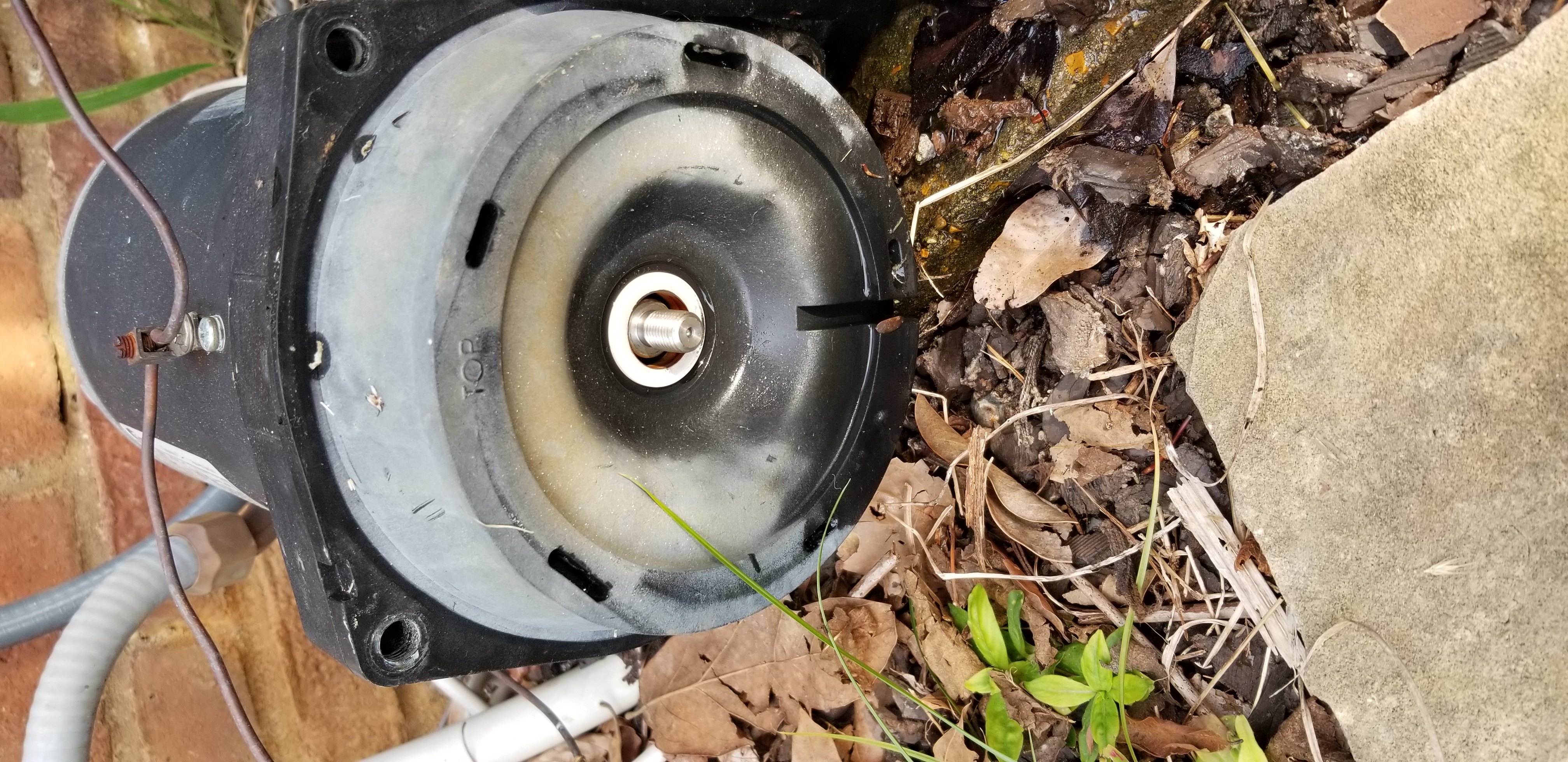 Pureline Hayward Super Pump Saltwater Seal Kit - GOKIT3SALT