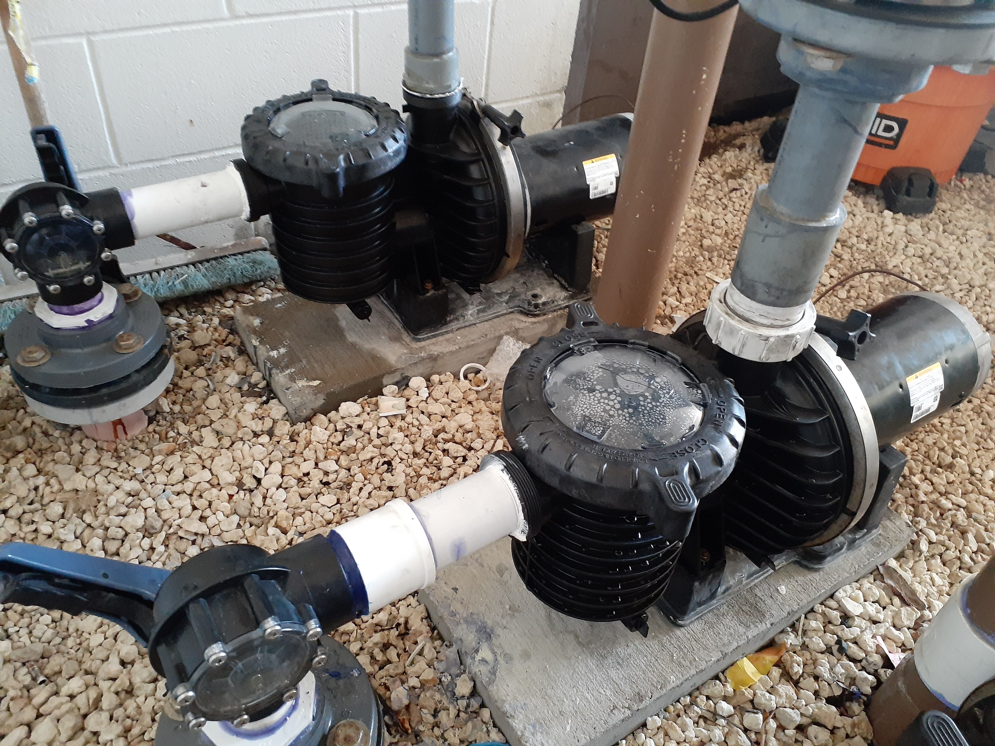 Pentair Impeller for Sta-Rite DuraGlas II, Max-E-Pro, 1.5 HP Full Rate or 2 HP Up Rate - C105-238PDBA