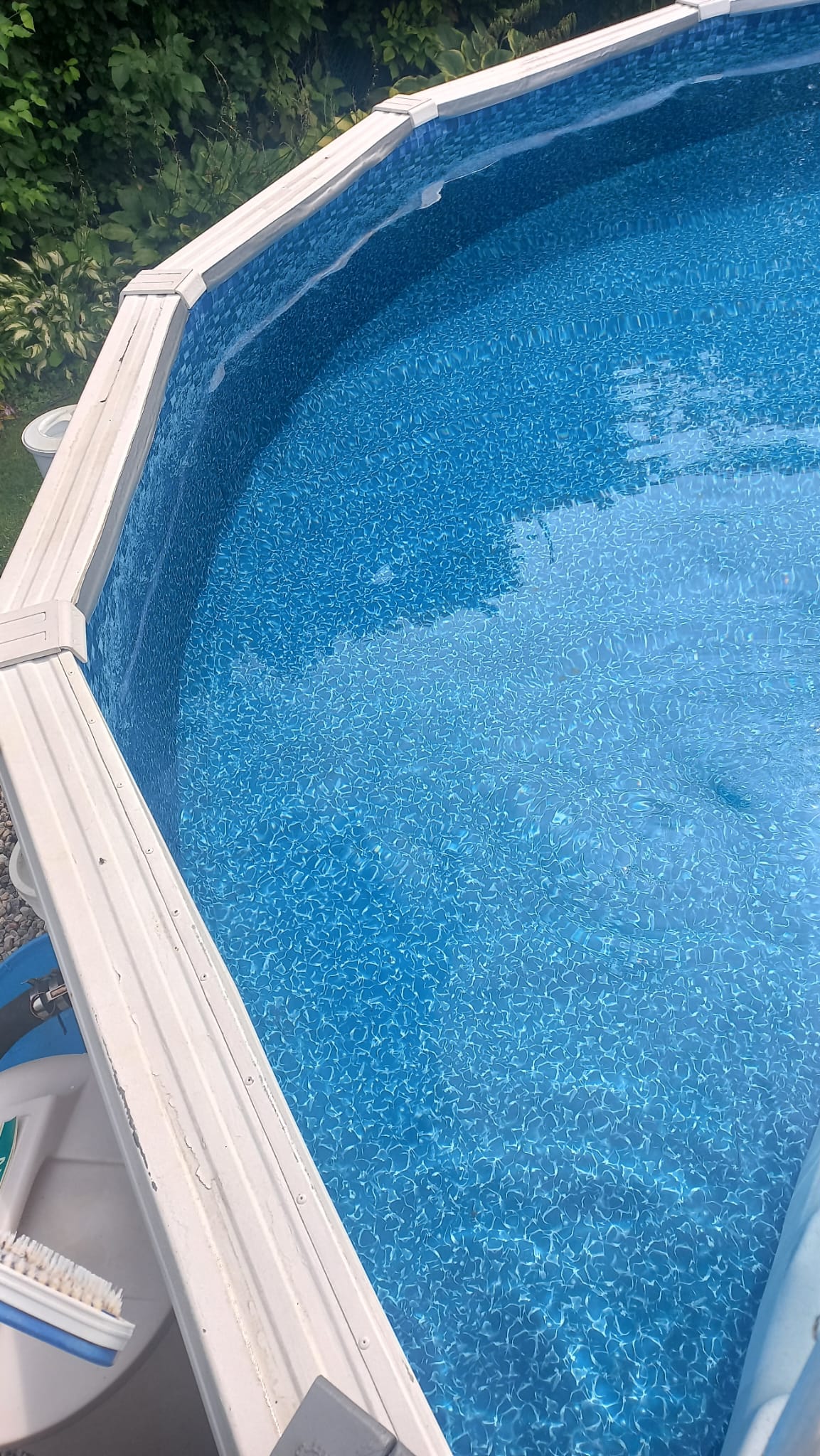 Wilbar Top Ledge Creation/Blues Champagne (4 Pack) - 10109360000-PACK4