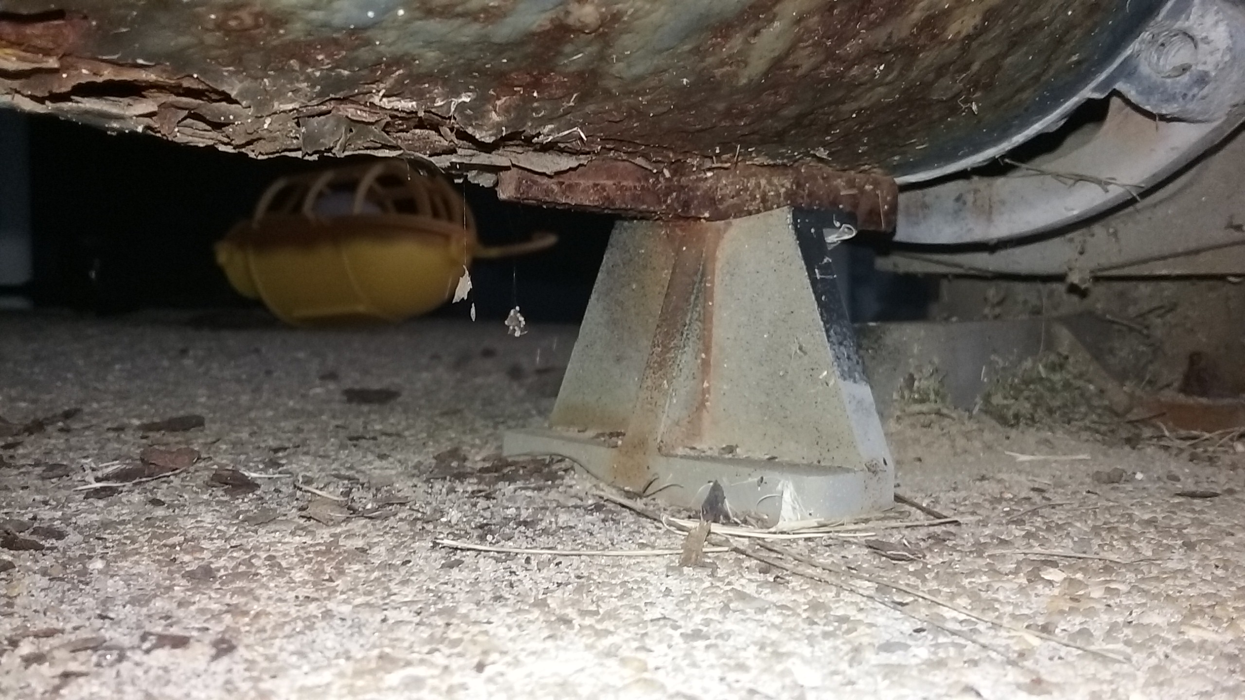 A.O. Smith Century® UST1102 - 1.0 HP Replacement Pool Pump Motor  Round Flange | 56J Frame | Single Speed