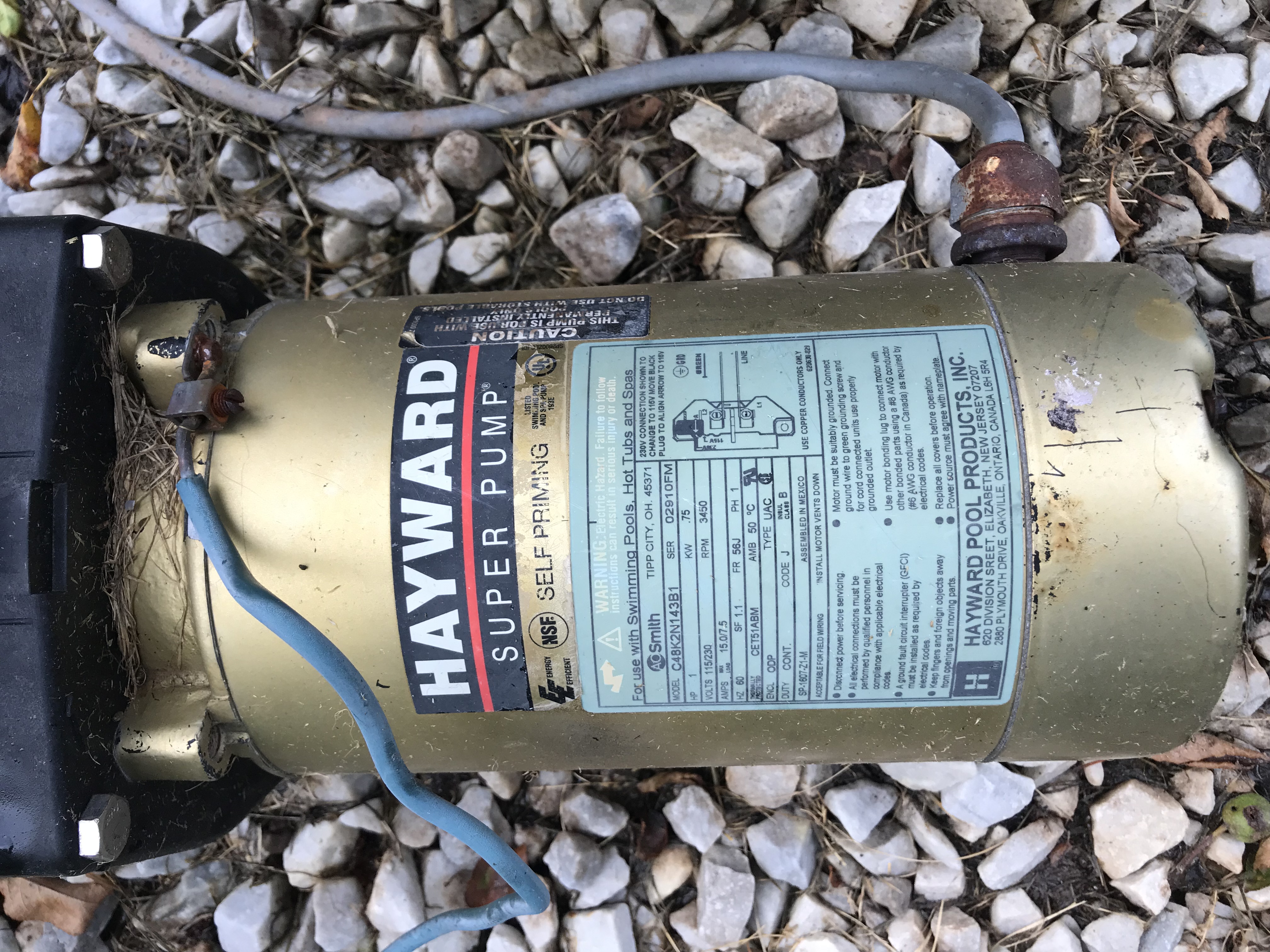 A.O. Smith Century® UST1102 - 1.0 HP Replacement Pool Pump Motor  Round Flange | 56J Frame | Single Speed