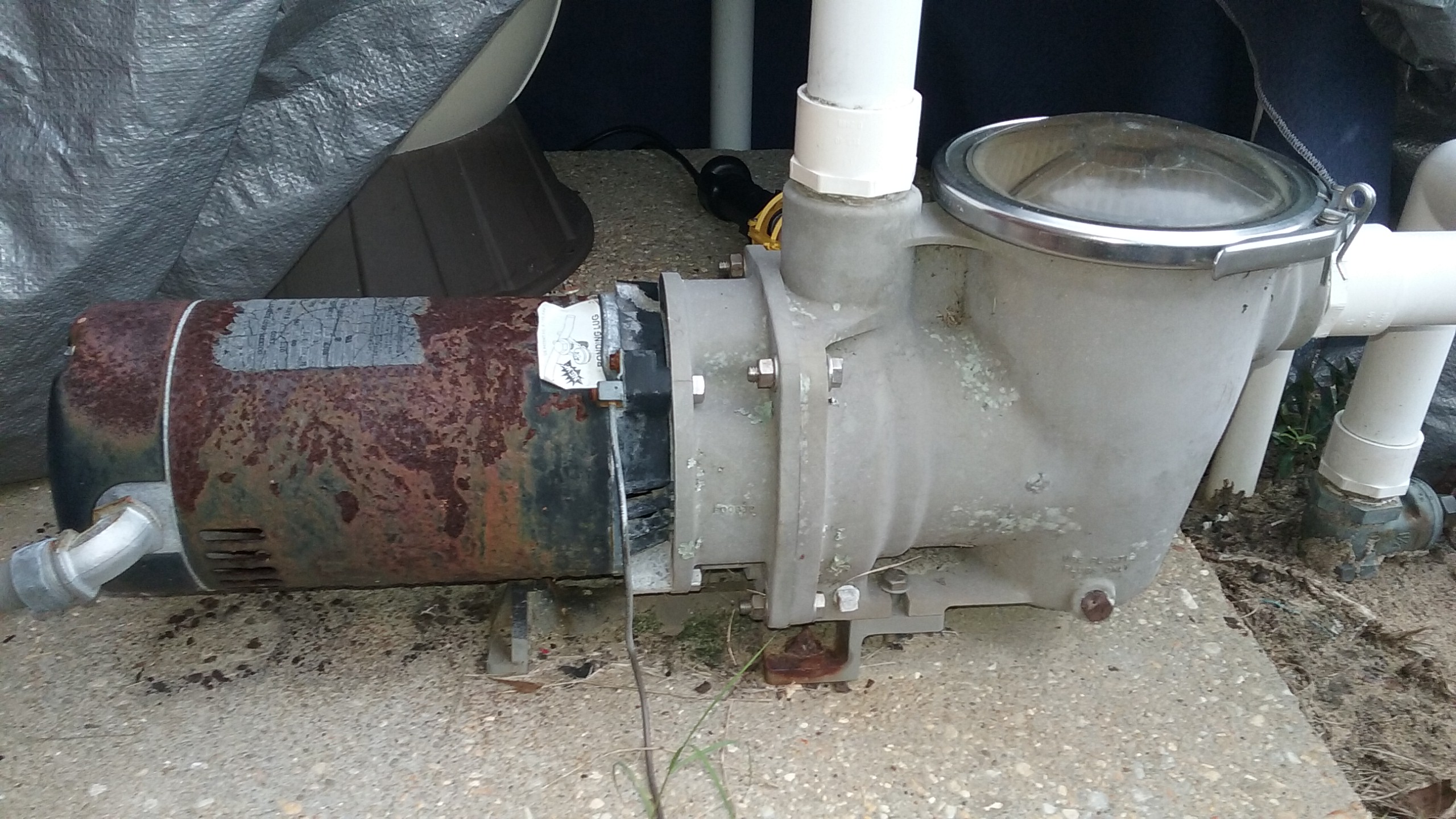 A.O. Smith Century® UST1102 - 1.0 HP Replacement Pool Pump Motor  Round Flange | 56J Frame | Single Speed