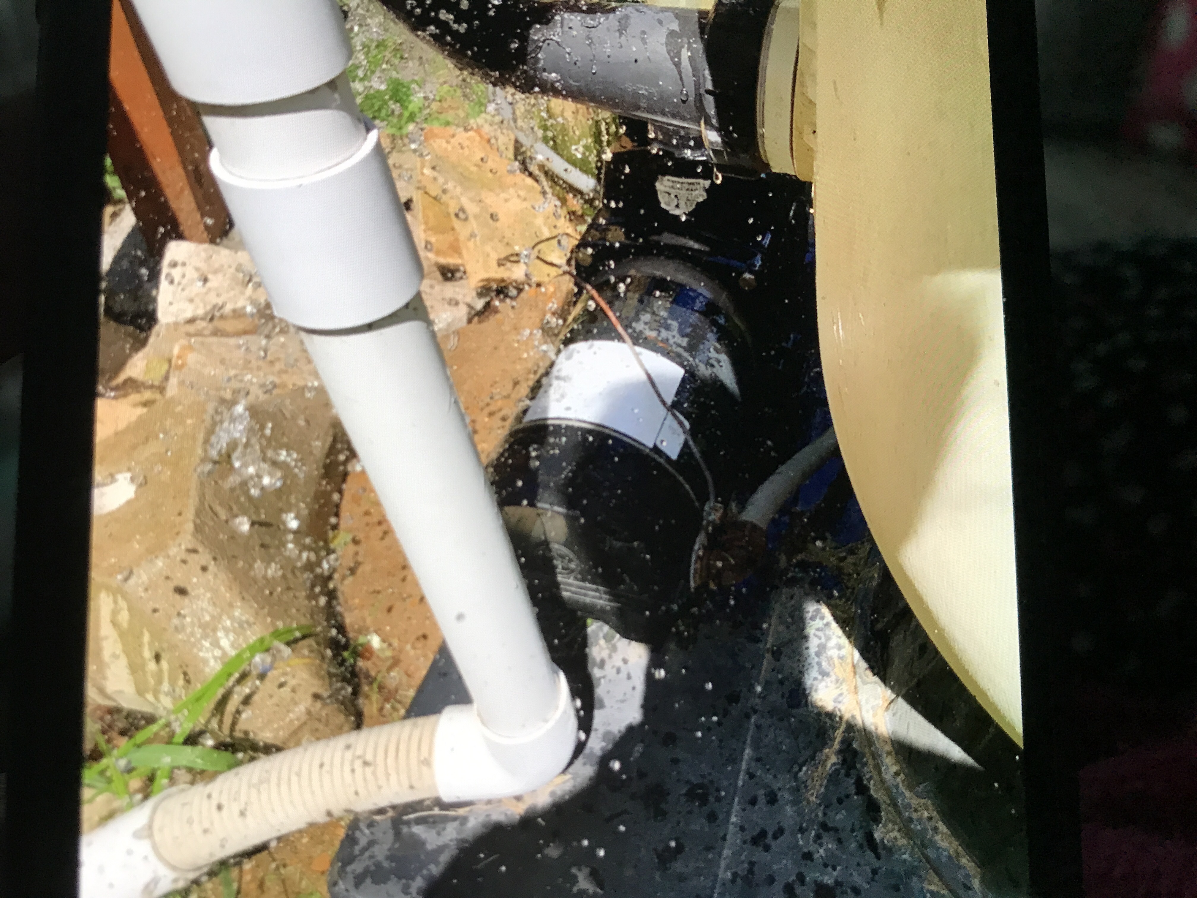 A.O. Smith Century® UST1102 - 1.0 HP Replacement Pool Pump Motor  Round Flange | 56J Frame | Single Speed