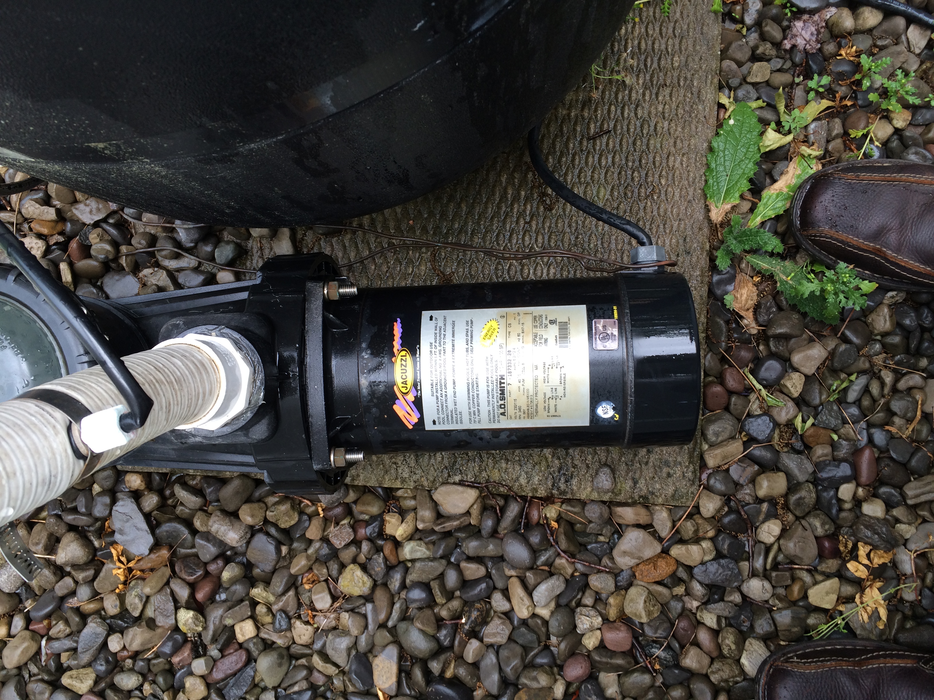 A.O. Smith Century® 1.0 HP Up-Rated Pool Pump Motor - USQ1102  Single Speed | Square Flange | 48Y Frame