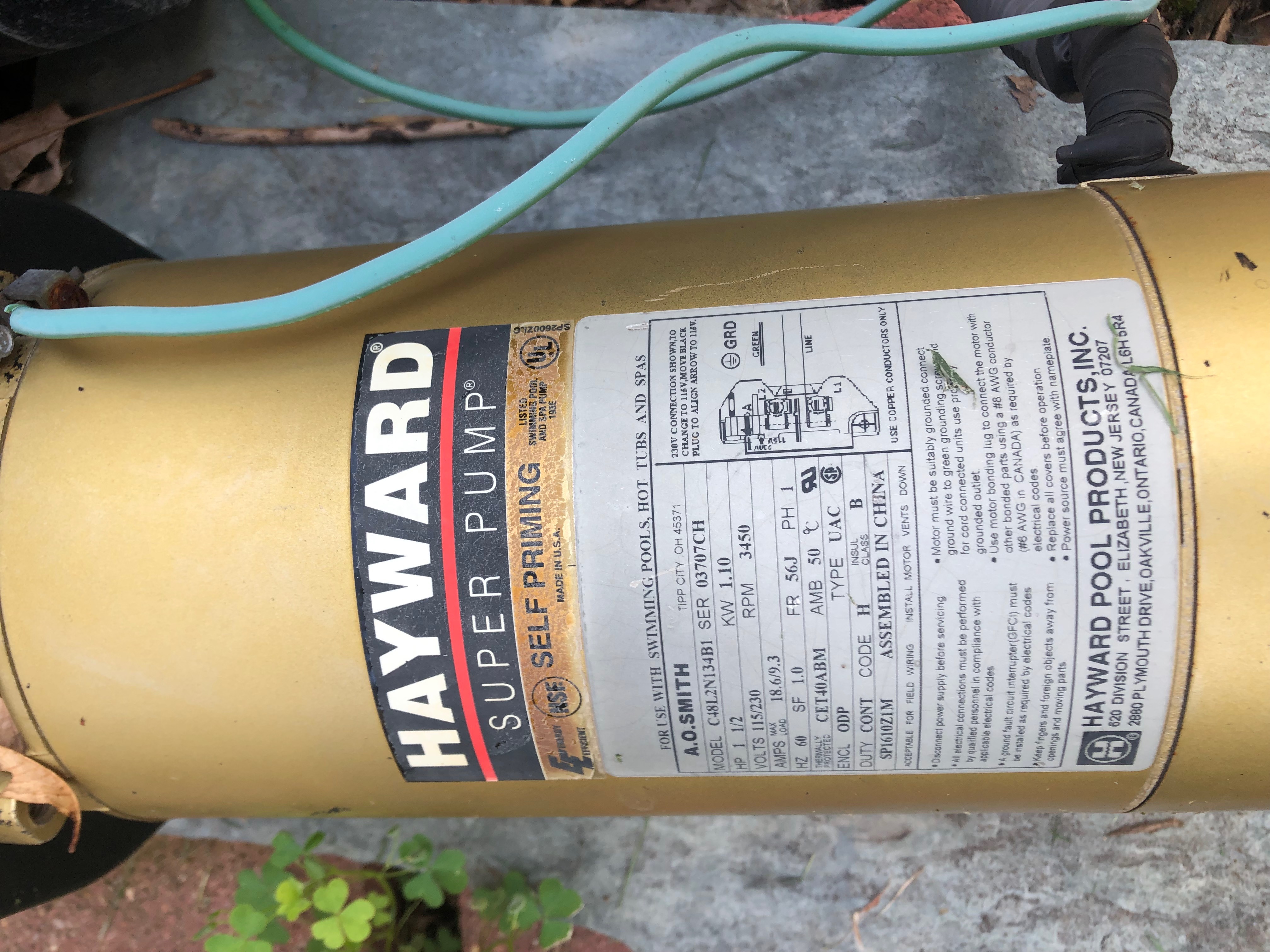 A.O. Smith Century® UST1152 - 1.5 HP Replacement Pool Pump Motor  Round Flange | 56J Frame | Single Speed