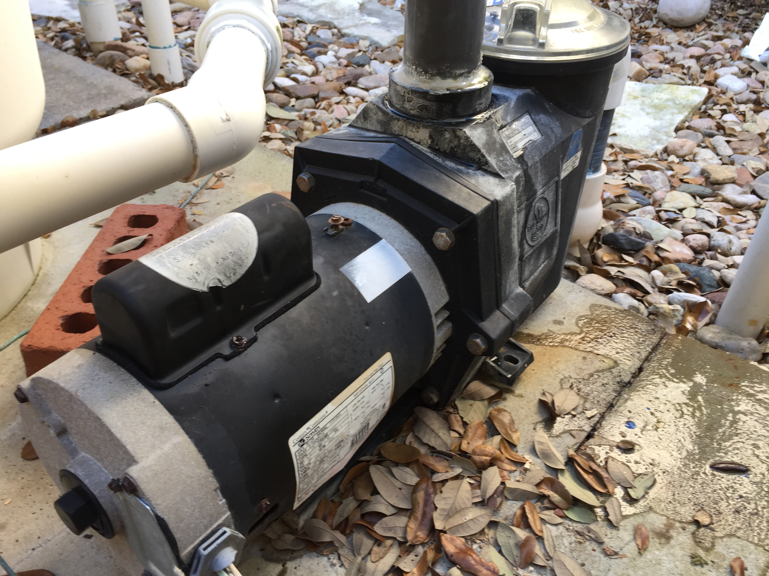 A.O. Smith Century® UST1152 - 1.5 HP Replacement Pool Pump Motor  Round Flange | 56J Frame | Single Speed