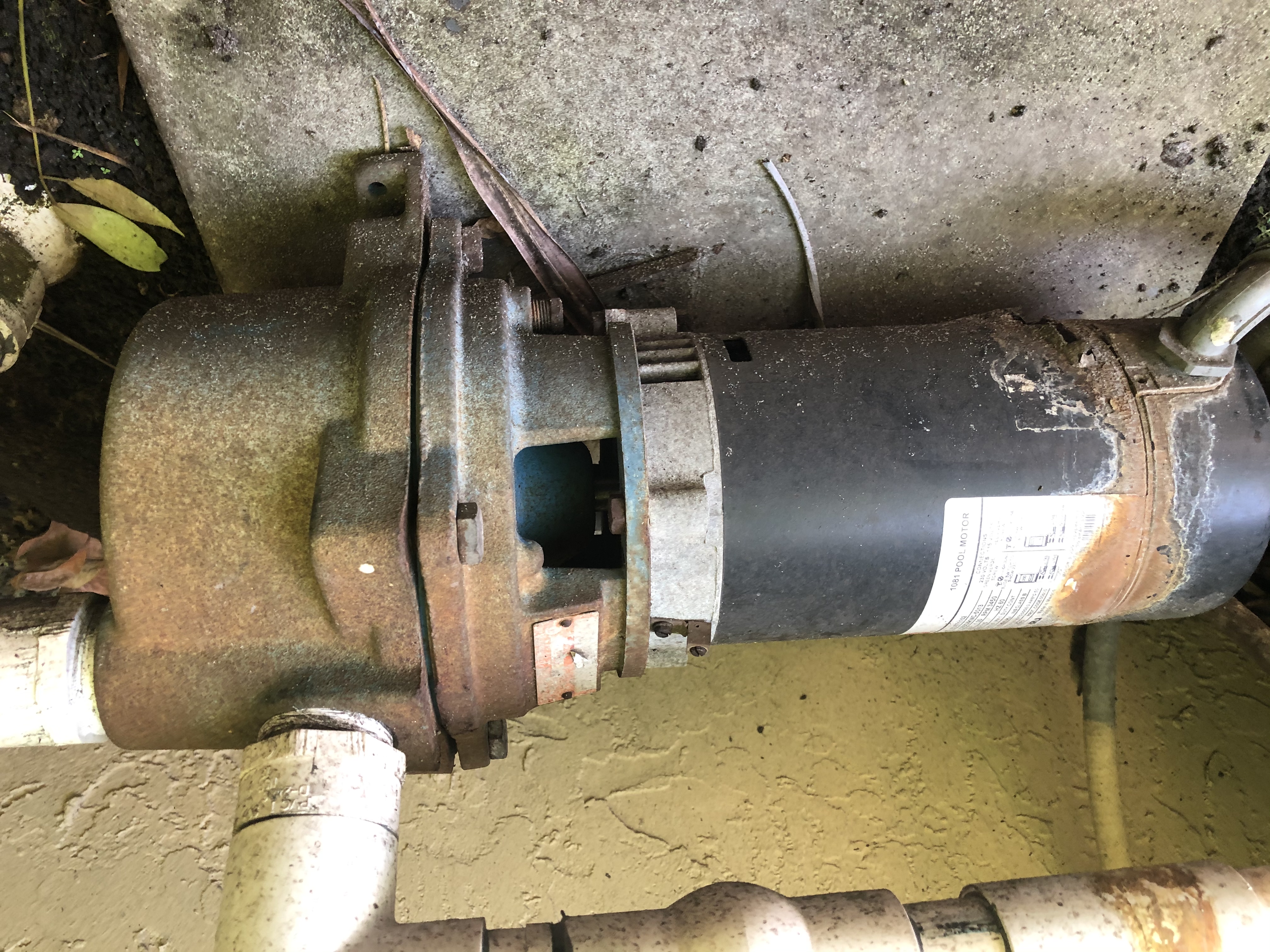 A.O. Smith Century® UST1152 - 1.5 HP Replacement Pool Pump Motor  Round Flange | 56J Frame | Single Speed