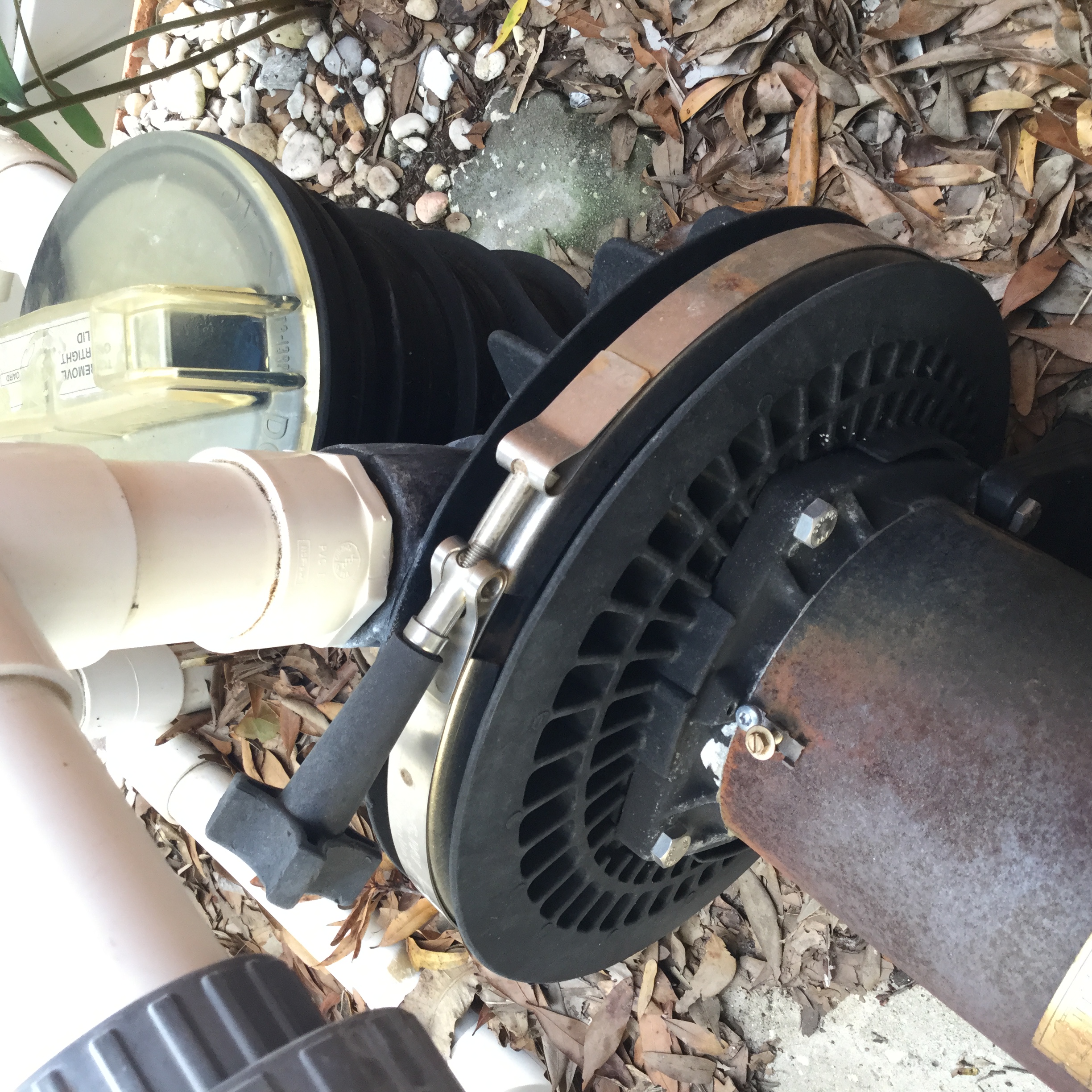 A.O. Smith Century® UST1152 - 1.5 HP Replacement Pool Pump Motor  Round Flange | 56J Frame | Single Speed