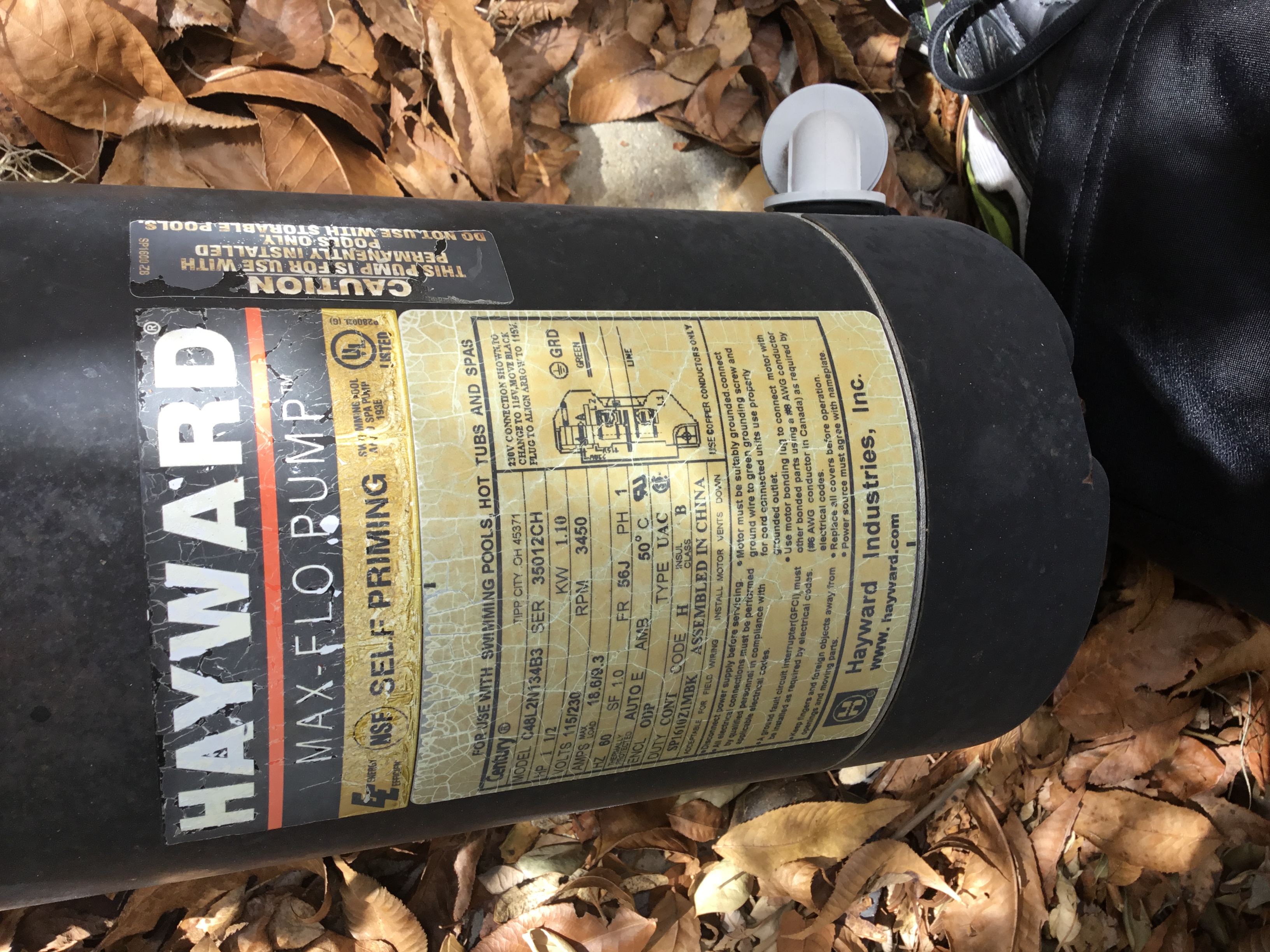 A.O. Smith Century® UST1152 - 1.5 HP Replacement Pool Pump Motor  Round Flange | 56J Frame | Single Speed