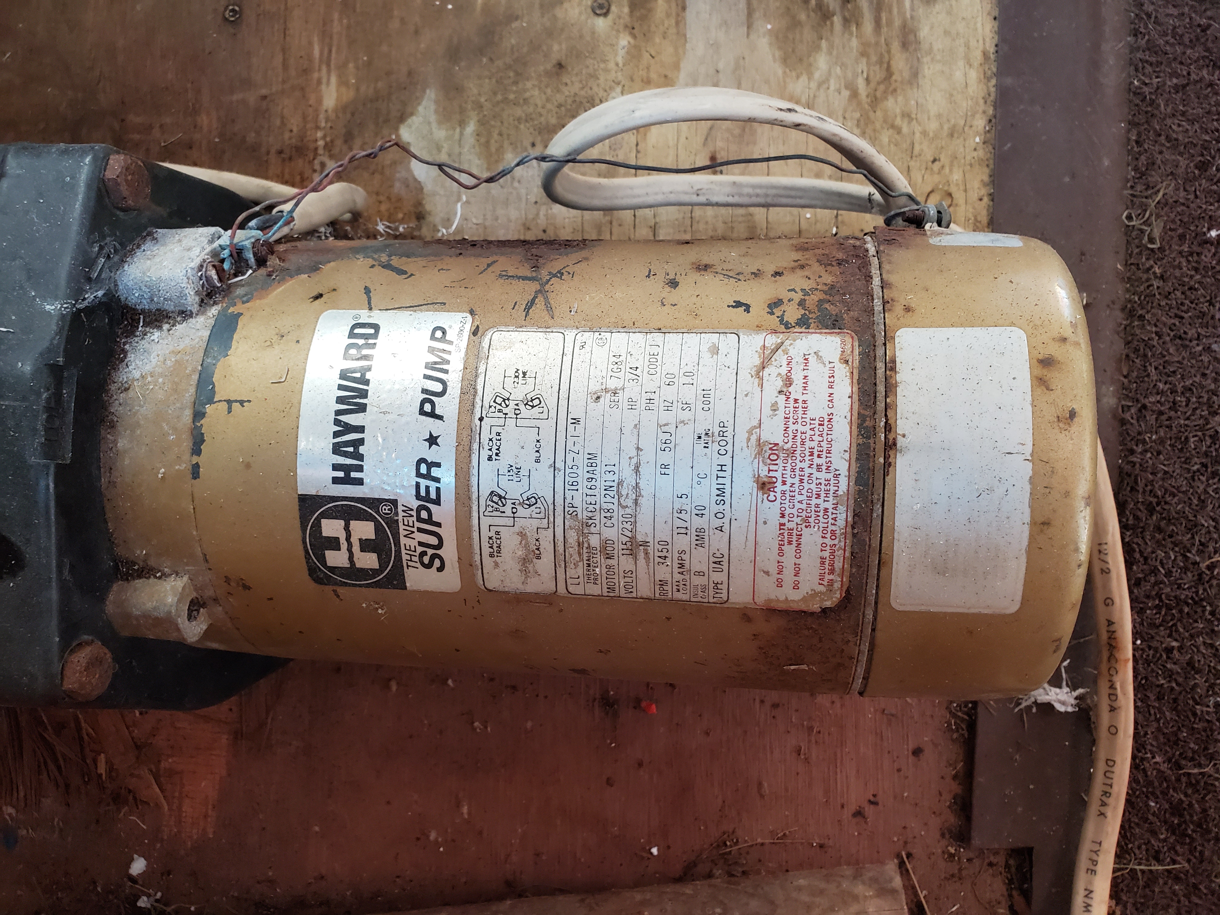 A.O. Smith Century® UST1152 - 1.5 HP Replacement Pool Pump Motor  Round Flange | 56J Frame | Single Speed