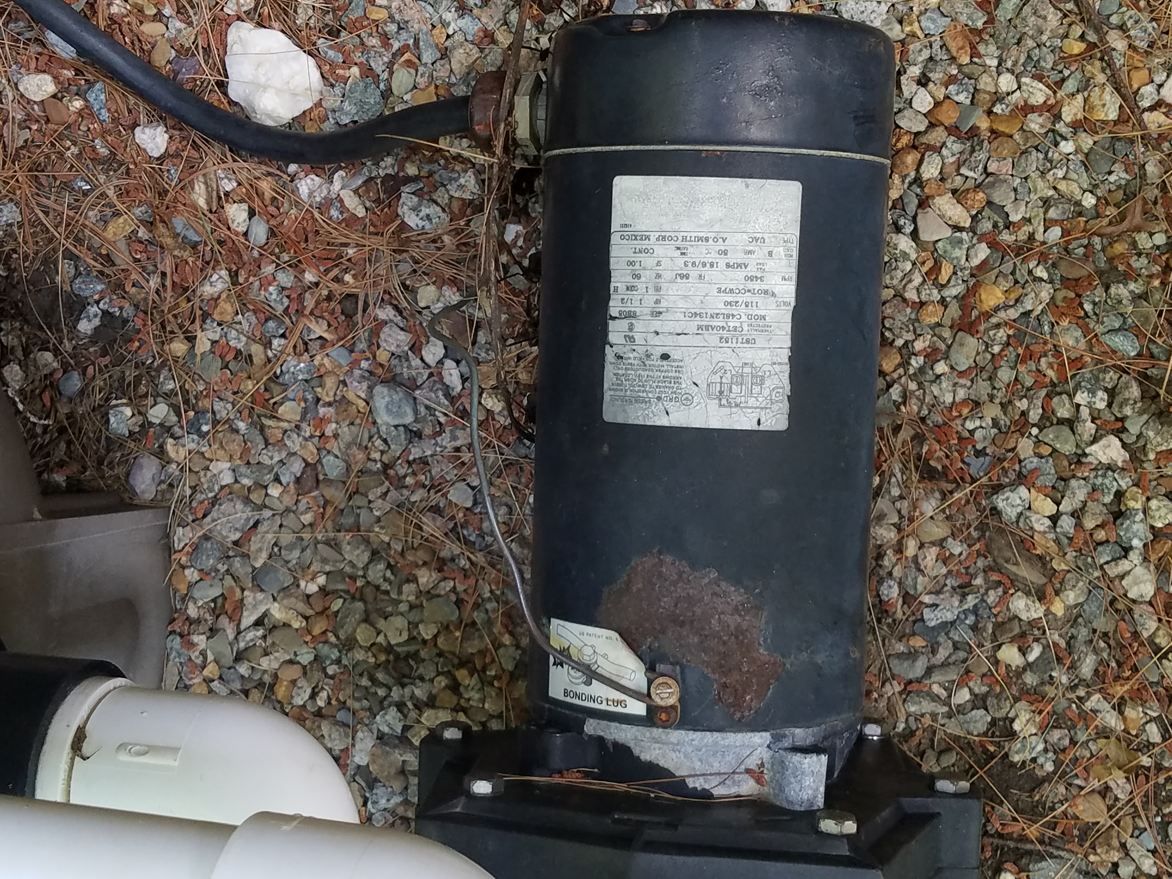 A.O. Smith Century® UST1152 - 1.5 HP Replacement Pool Pump Motor  Round Flange | 56J Frame | Single Speed