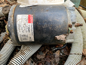 A.O. Smith Century® UST1152 - 1.5 HP Replacement Pool Pump Motor  Round Flange | 56J Frame | Single Speed