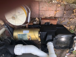 A.O. Smith Century® UST1152 - 1.5 HP Replacement Pool Pump Motor  Round Flange | 56J Frame | Single Speed