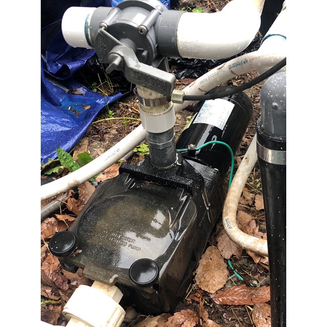 A.O. Smith Century® UST1152 - 1.5 HP Replacement Pool Pump Motor  Round Flange | 56J Frame | Single Speed