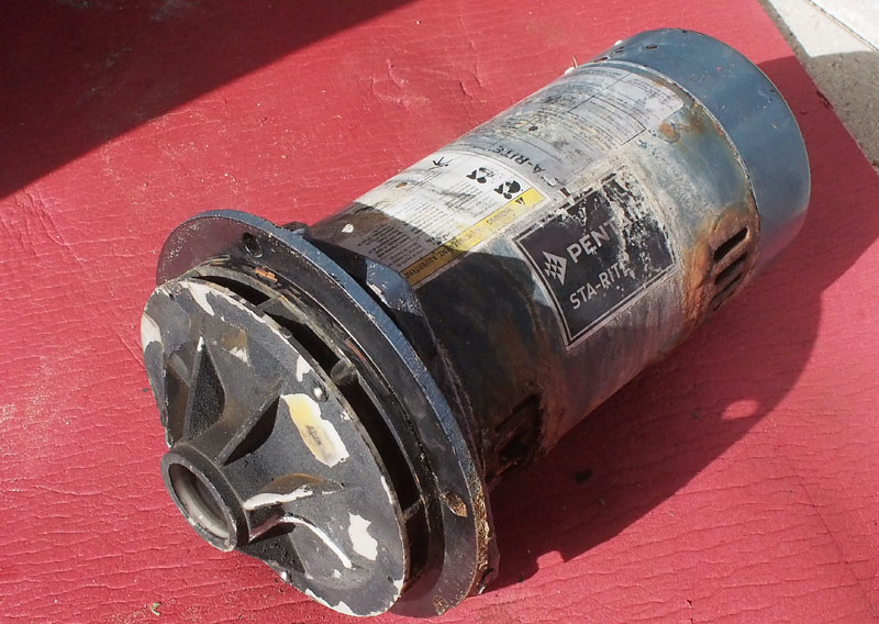 Century® (A.O. Smith) 1.5 HP Up-Rate Pool Pump Motor - USQ1152  Square Flange | 48Y Frame | Single Speed