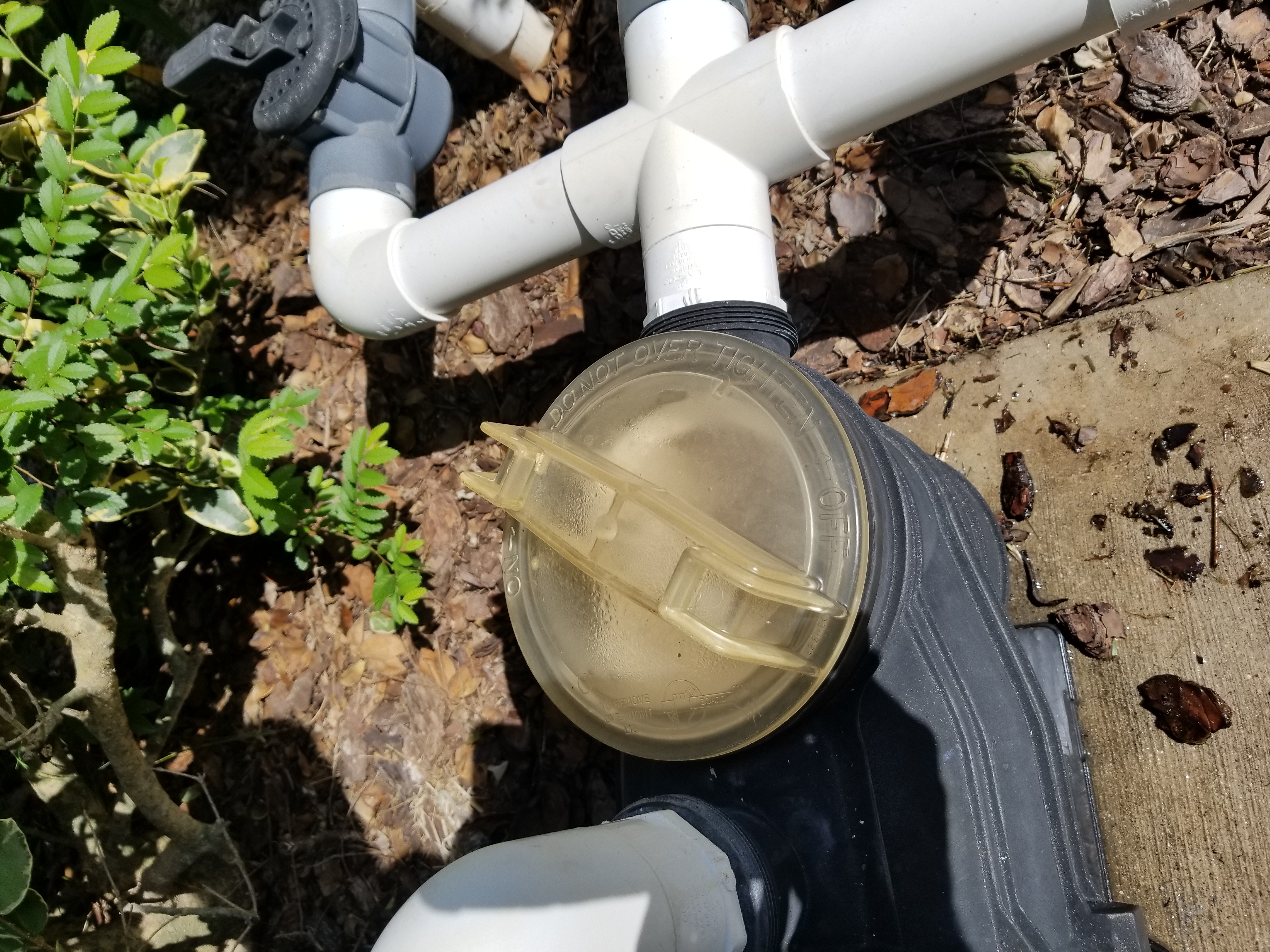 Century® (A.O. Smith) 1.5 HP Up-Rate Pool Pump Motor - USQ1152  Square Flange | 48Y Frame | Single Speed