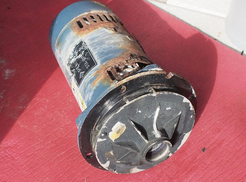 Century® (A.O. Smith) 1.5 HP Up-Rate Pool Pump Motor - USQ1152  Square Flange | 48Y Frame | Single Speed