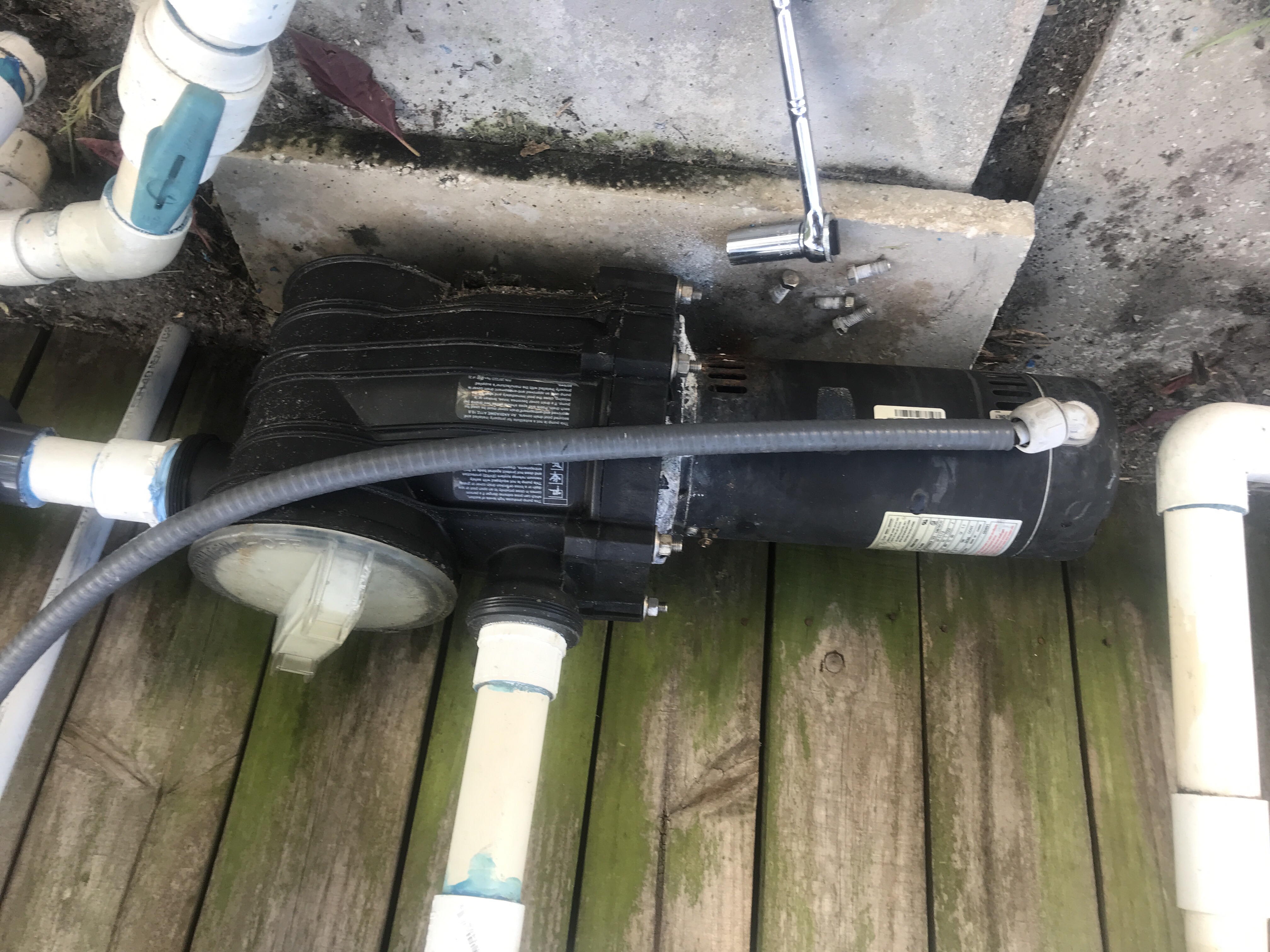 Century® (A.O. Smith) 1.5 HP Up-Rate Pool Pump Motor - USQ1152  Square Flange | 48Y Frame | Single Speed