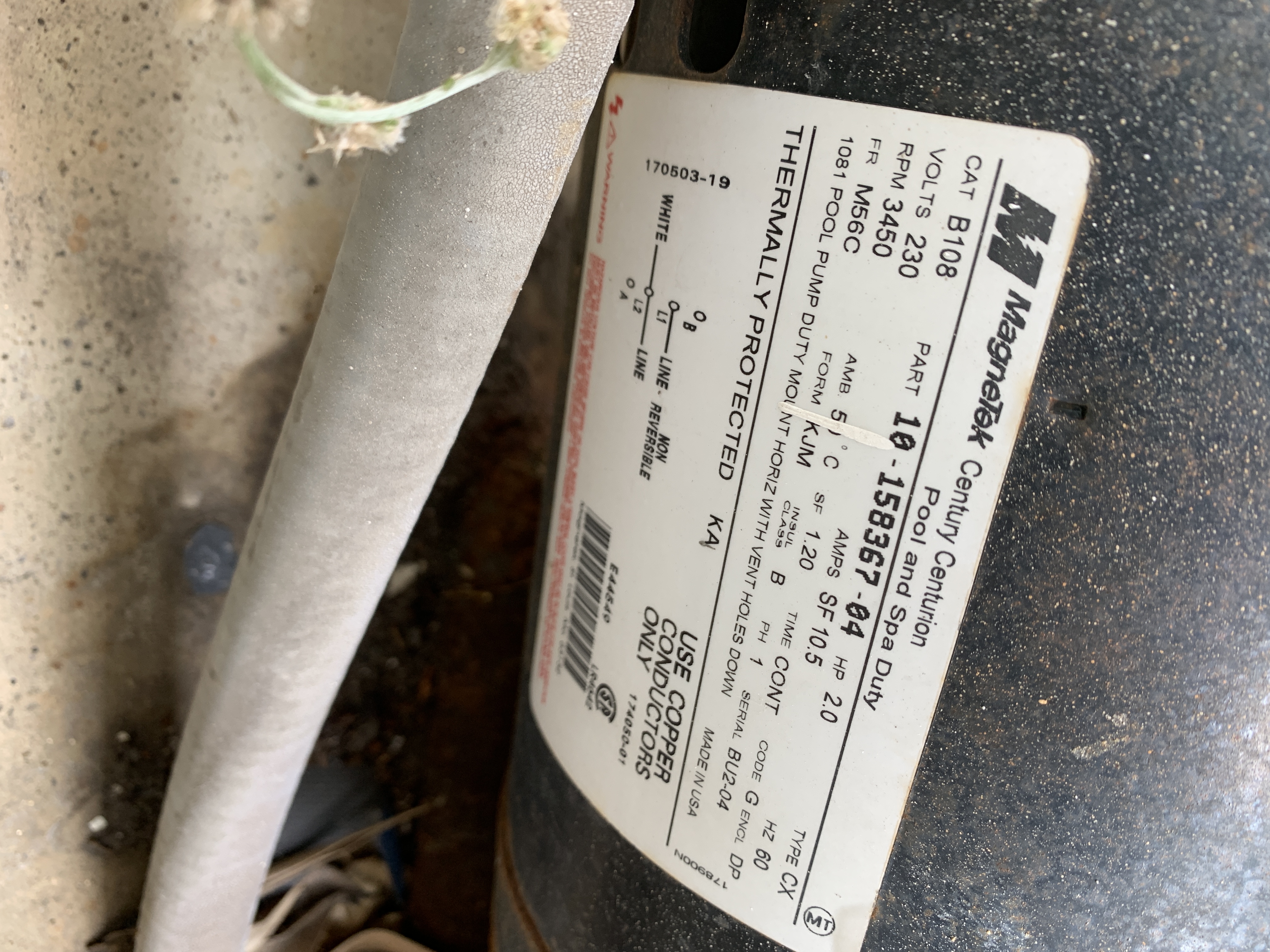 Century® (A.O. Smith) 2.0 HP Up-Rate Pool Pump Motor - B855  Square Flange | 56Y Frame | Single Speed - B2855