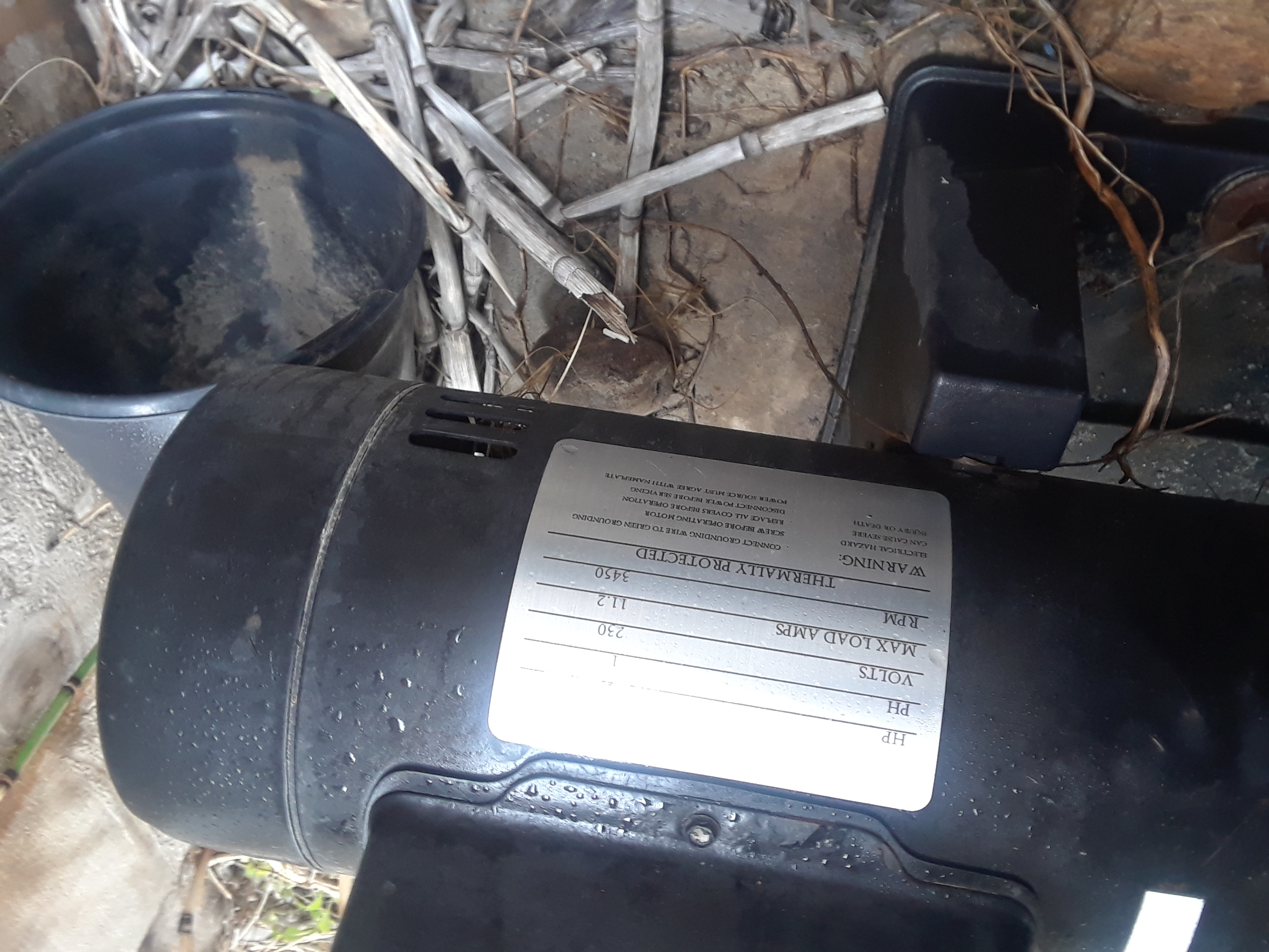 Century® (A.O. Smith) 2.0 HP Up-Rate Pool Pump Motor - B855  Square Flange | 56Y Frame | Single Speed - B2855