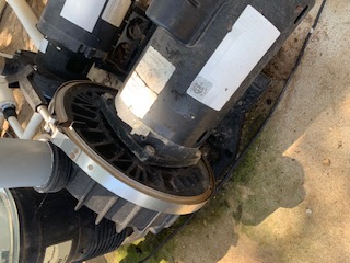 Century® (A.O. Smith) 2.0 HP Up-Rate Pool Pump Motor - B855  Square Flange | 56Y Frame | Single Speed - B2855