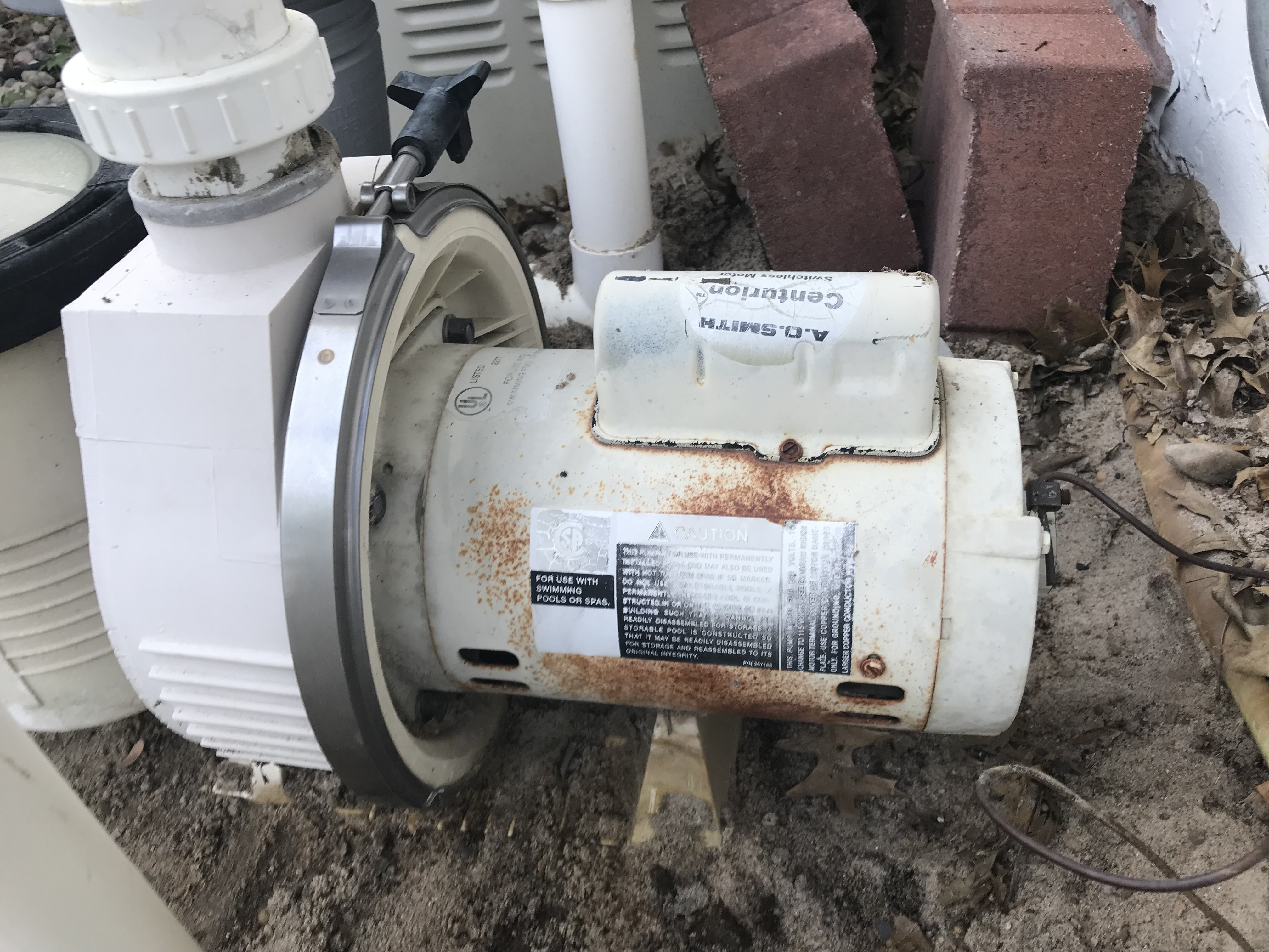 Century® (A.O. Smith) 2.0 HP Up-Rate Pool Pump Motor - B855  Square Flange | 56Y Frame | Single Speed - B2855