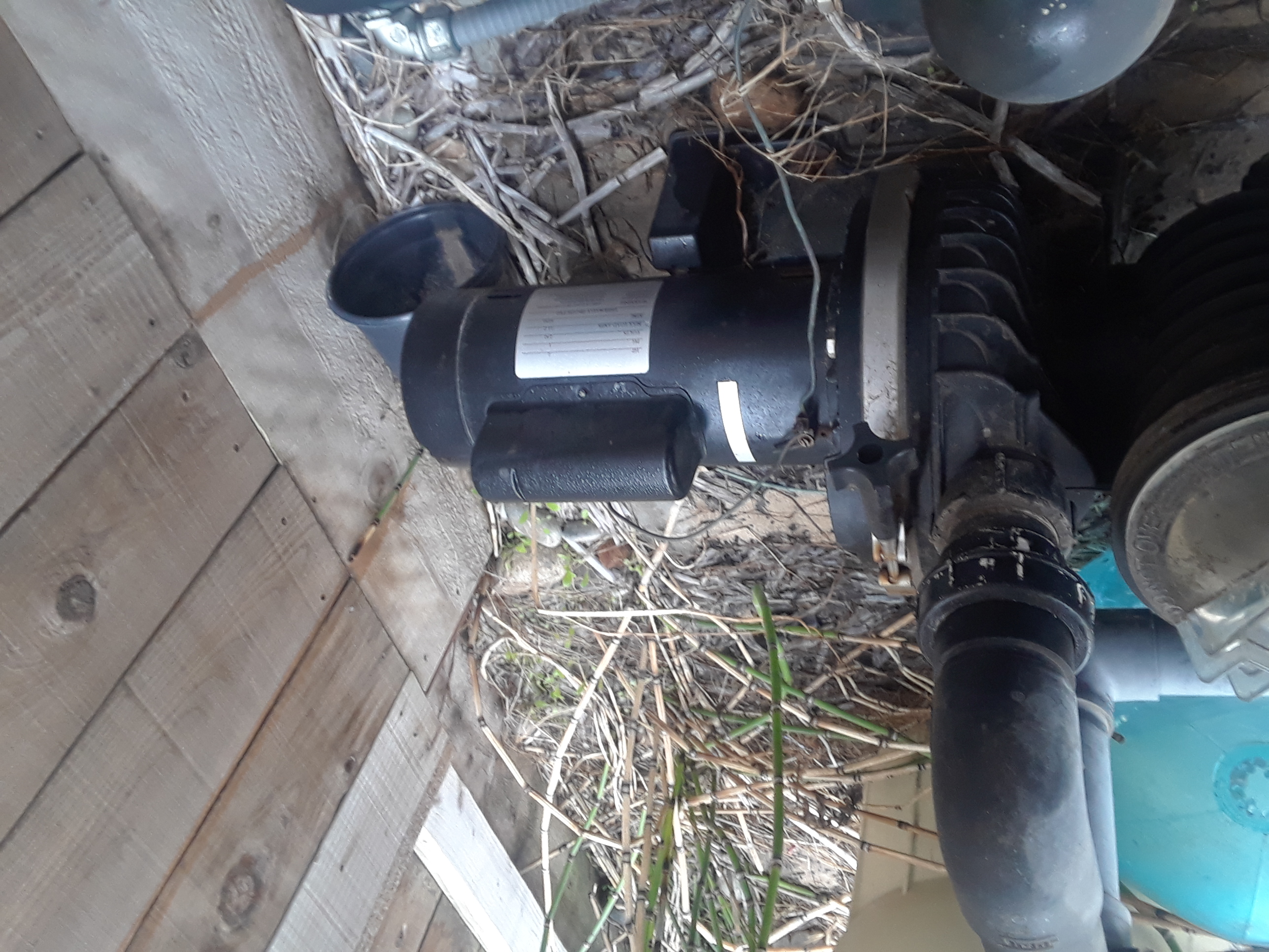 Century® (A.O. Smith) 2.0 HP Up-Rate Pool Pump Motor - B855  Square Flange | 56Y Frame | Single Speed - B2855