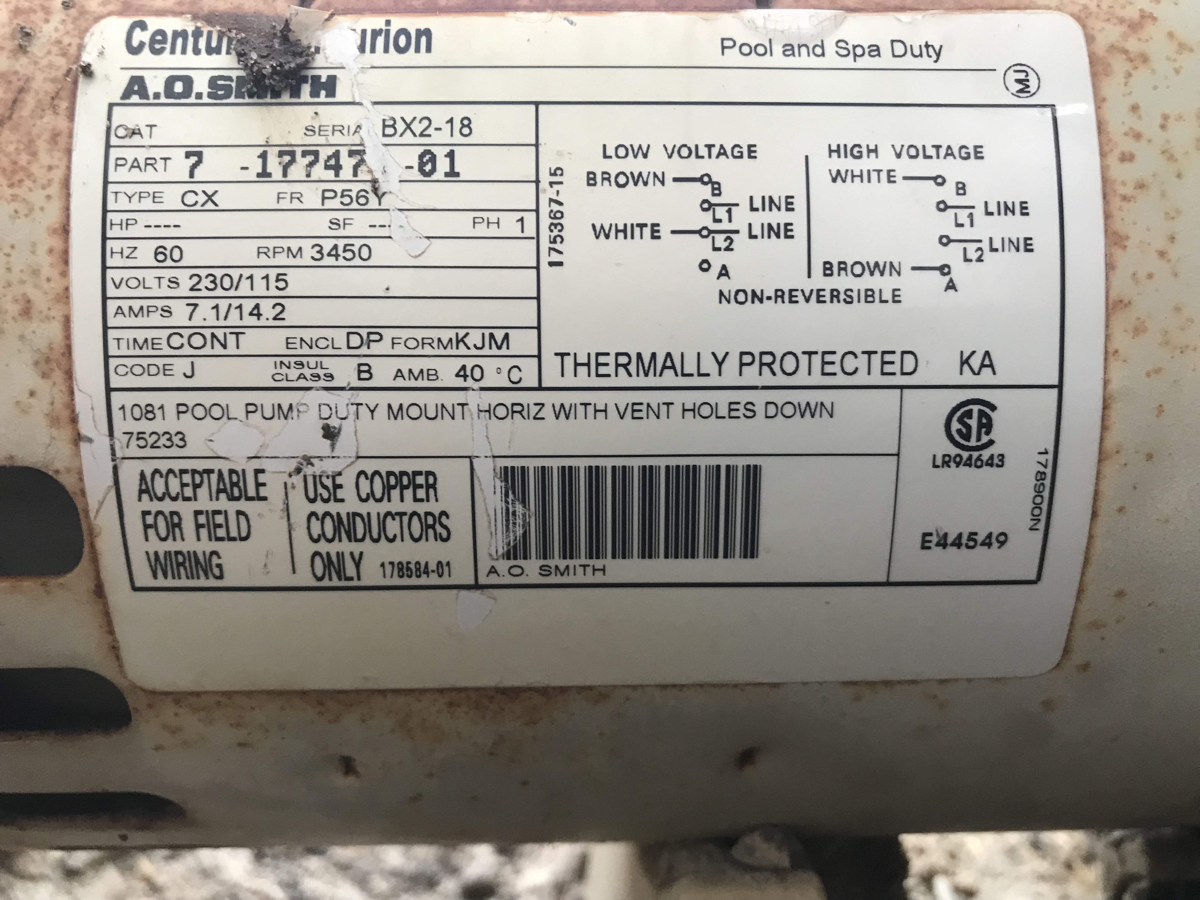 Century® (A.O. Smith) 2.0 HP Up-Rate Pool Pump Motor - B855  Square Flange | 56Y Frame | Single Speed - B2855