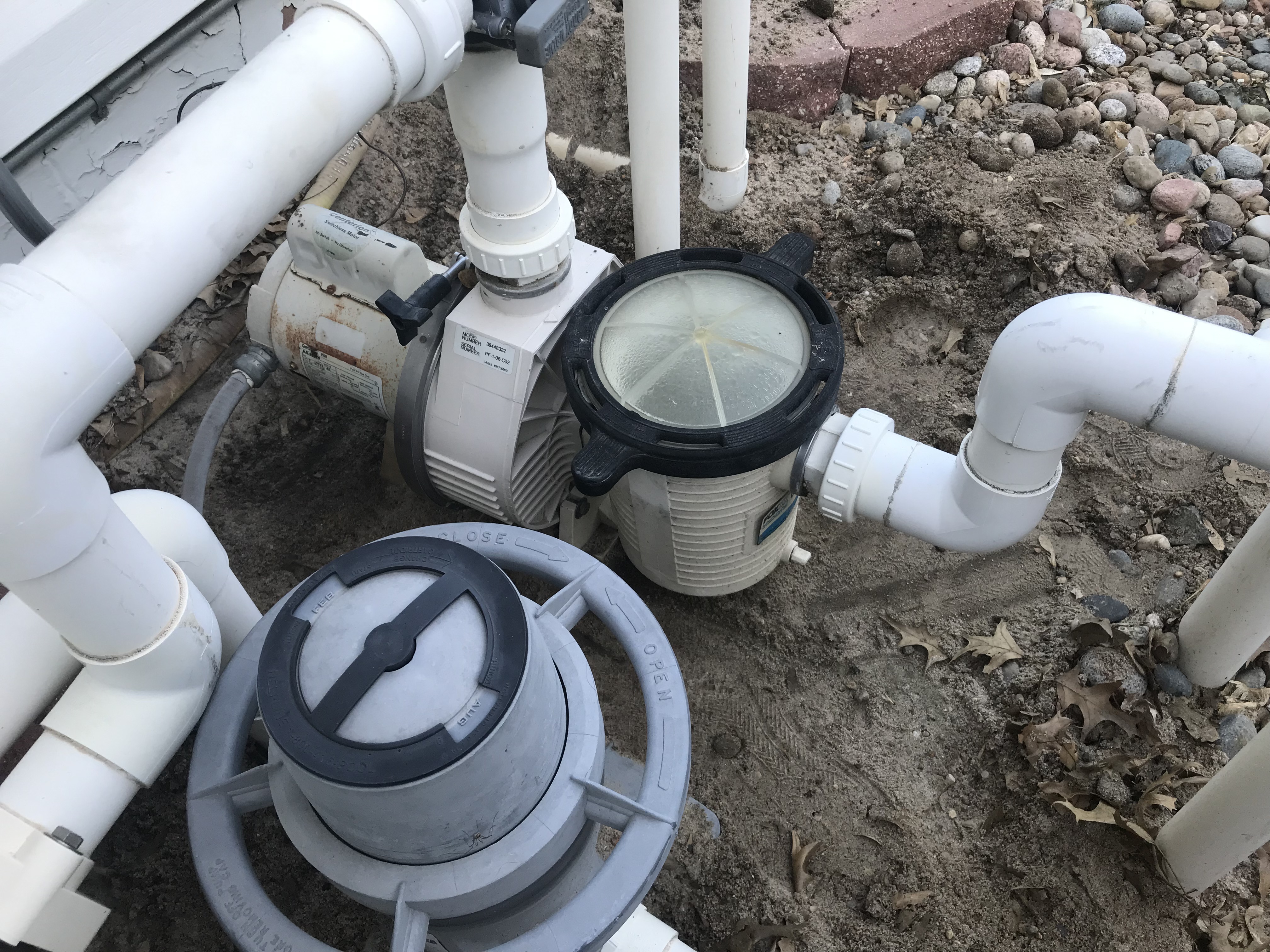 Century® (A.O. Smith) 2.0 HP Up-Rate Pool Pump Motor - B855  Square Flange | 56Y Frame | Single Speed - B2855