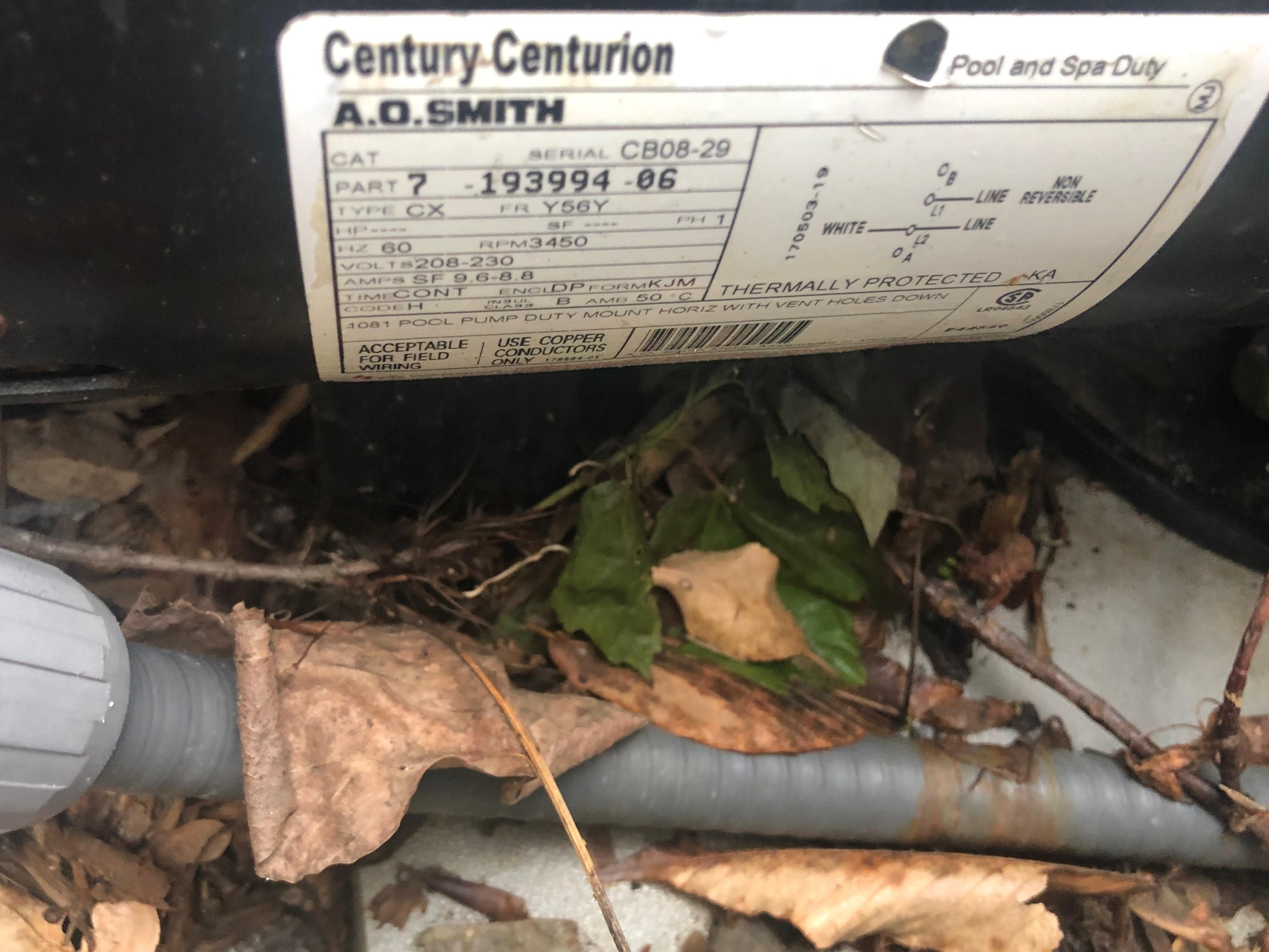 Century® (A.O. Smith) 2.0 HP Up-Rate Pool Pump Motor - B855  Square Flange | 56Y Frame | Single Speed - B2855