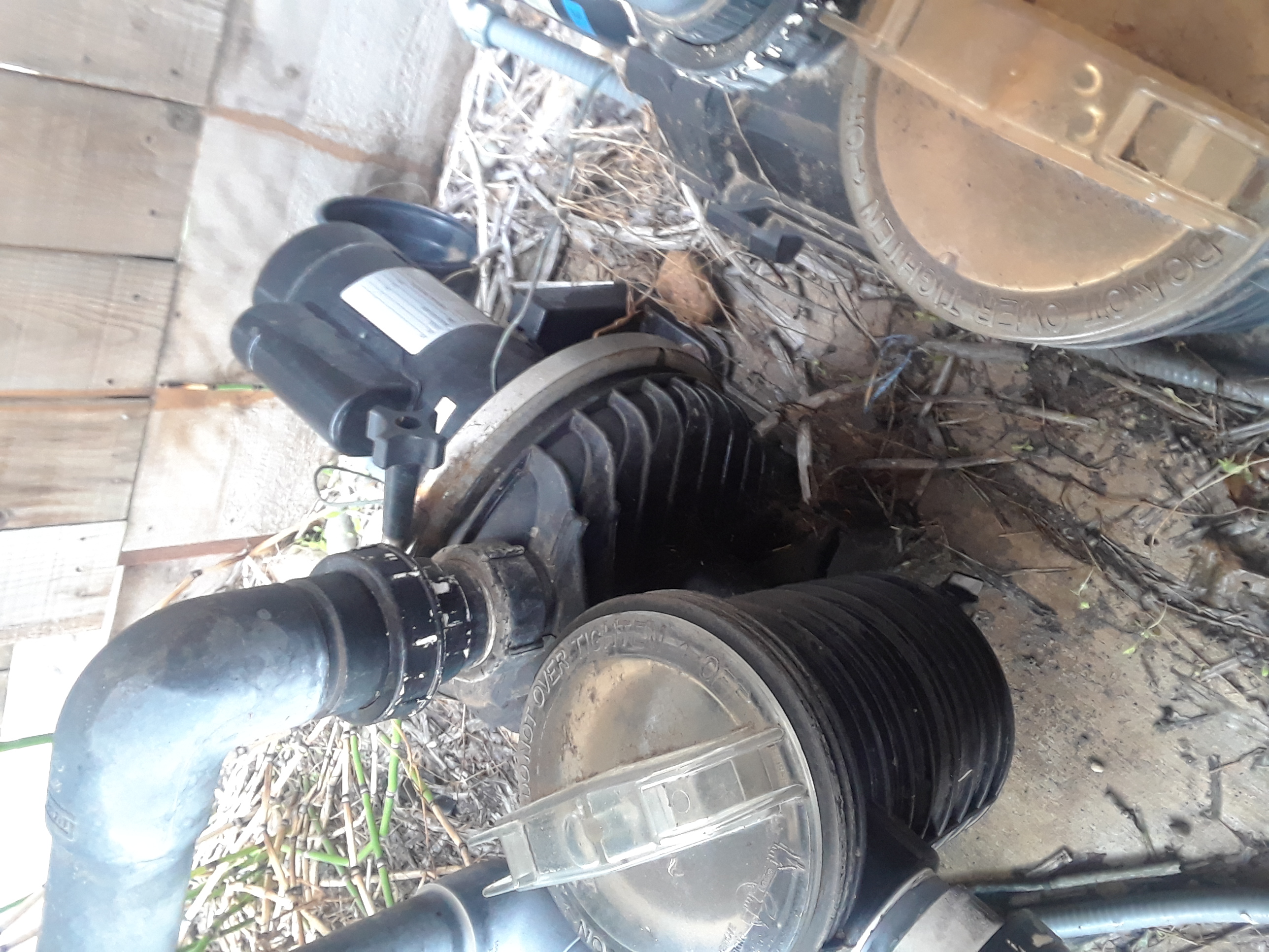 Century® (A.O. Smith) 2.0 HP Up-Rate Pool Pump Motor - B855  Square Flange | 56Y Frame | Single Speed - B2855