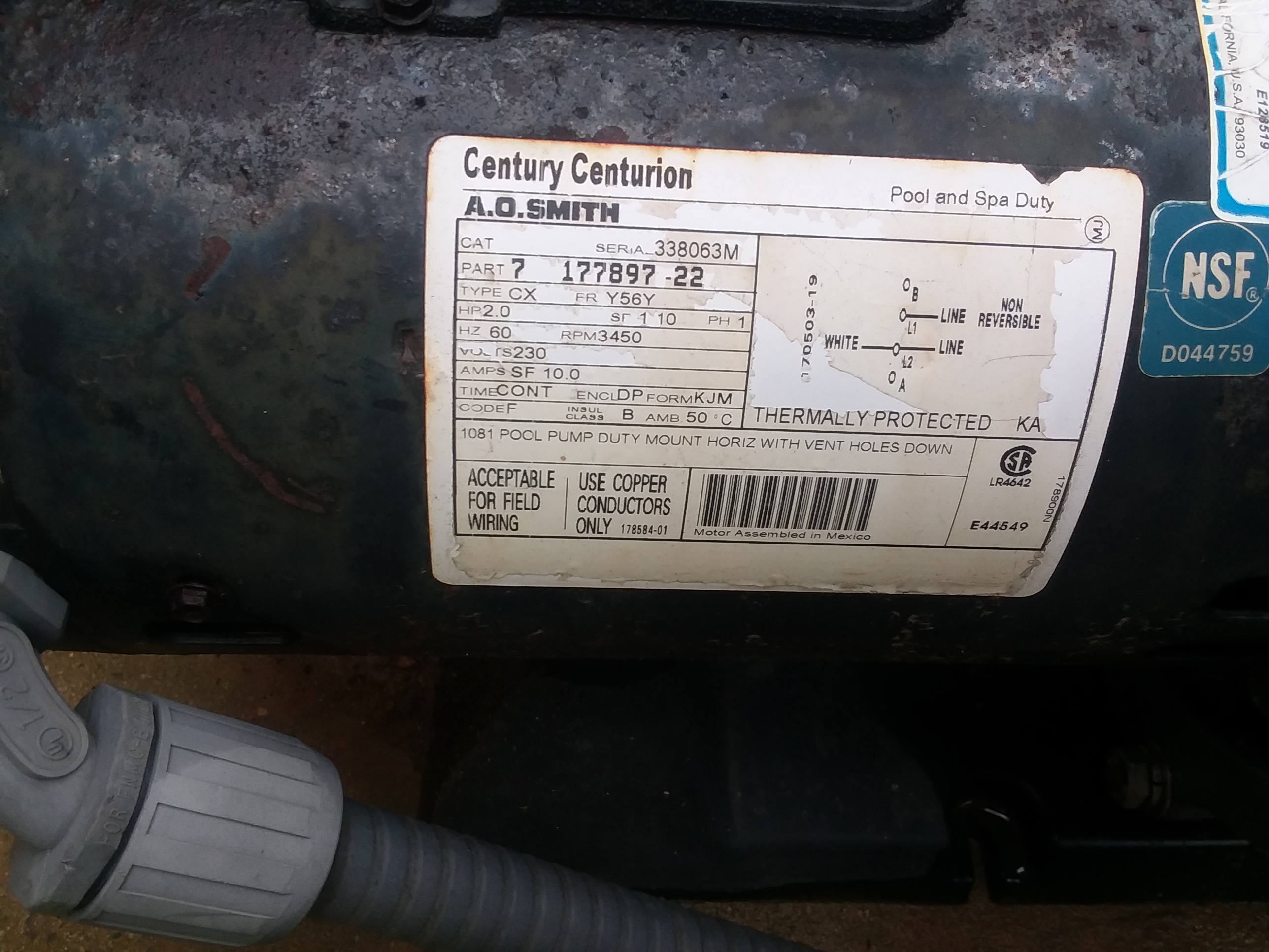 Century® (A.O. Smith) 2.0 HP Up-Rate Pool Pump Motor - B855  Square Flange | 56Y Frame | Single Speed - B2855