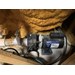 AquaFlo Gecko Alliance XP2 Spa Pump, 1.5HP, 115V, Two Speed, 48FR, 2"x2" Slip with Unions - 06115000-1040