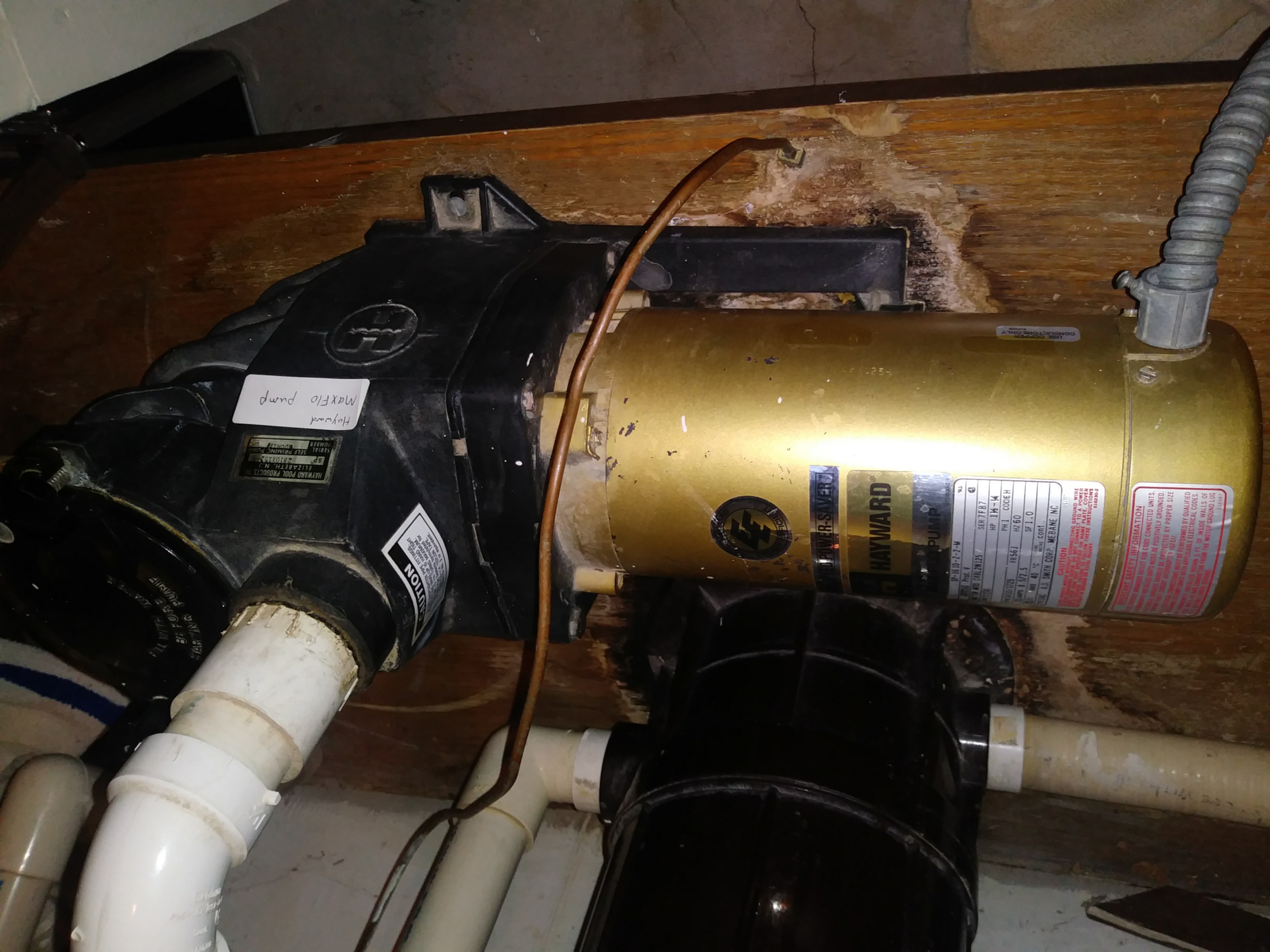 A.O. Smith Century® UST1152 - 1.5 HP Replacement Pool Pump Motor  Round Flange | 56J Frame | Single Speed