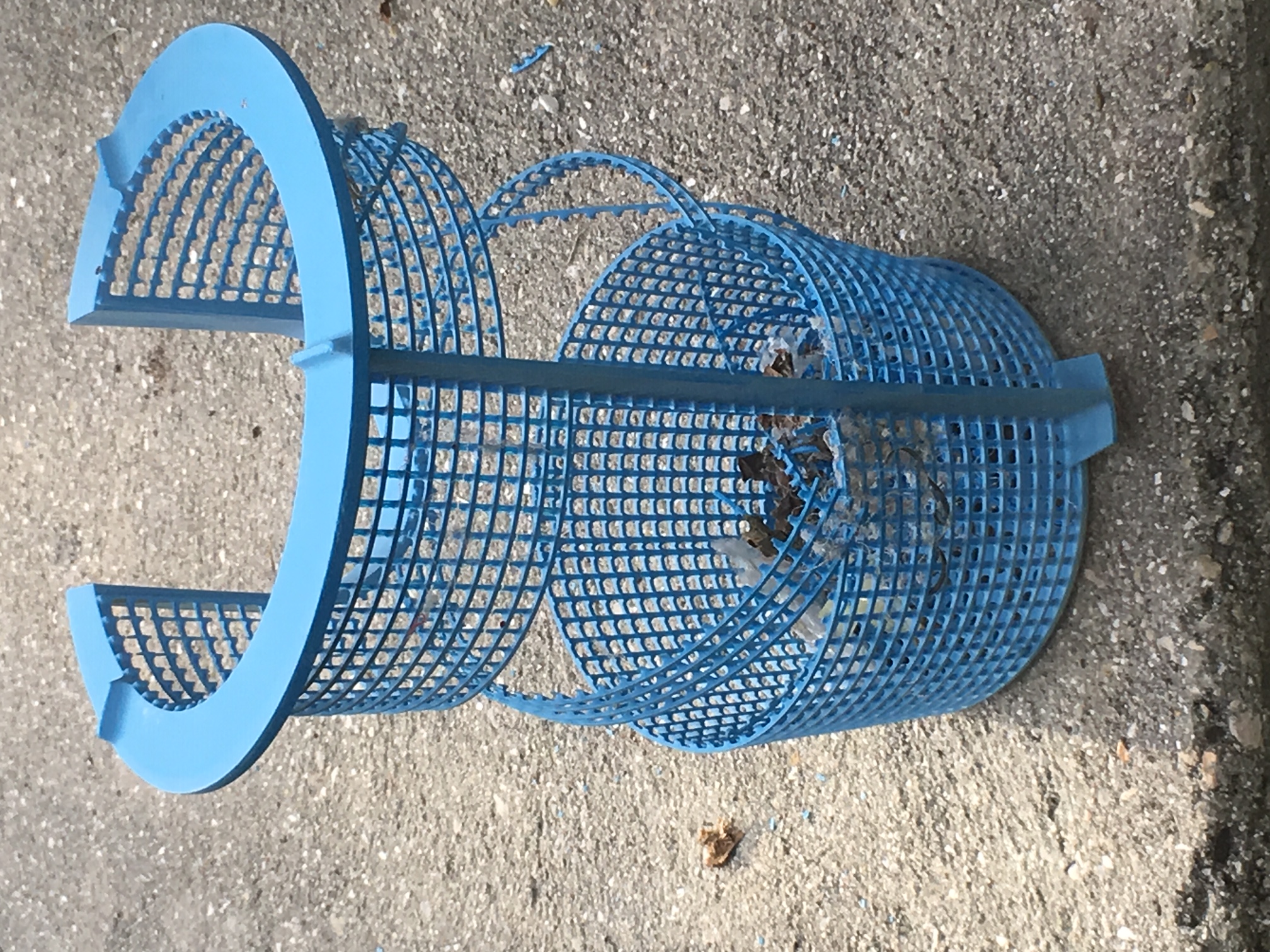 Custom Molded Products Basket (25300.040) - INYOPools.com