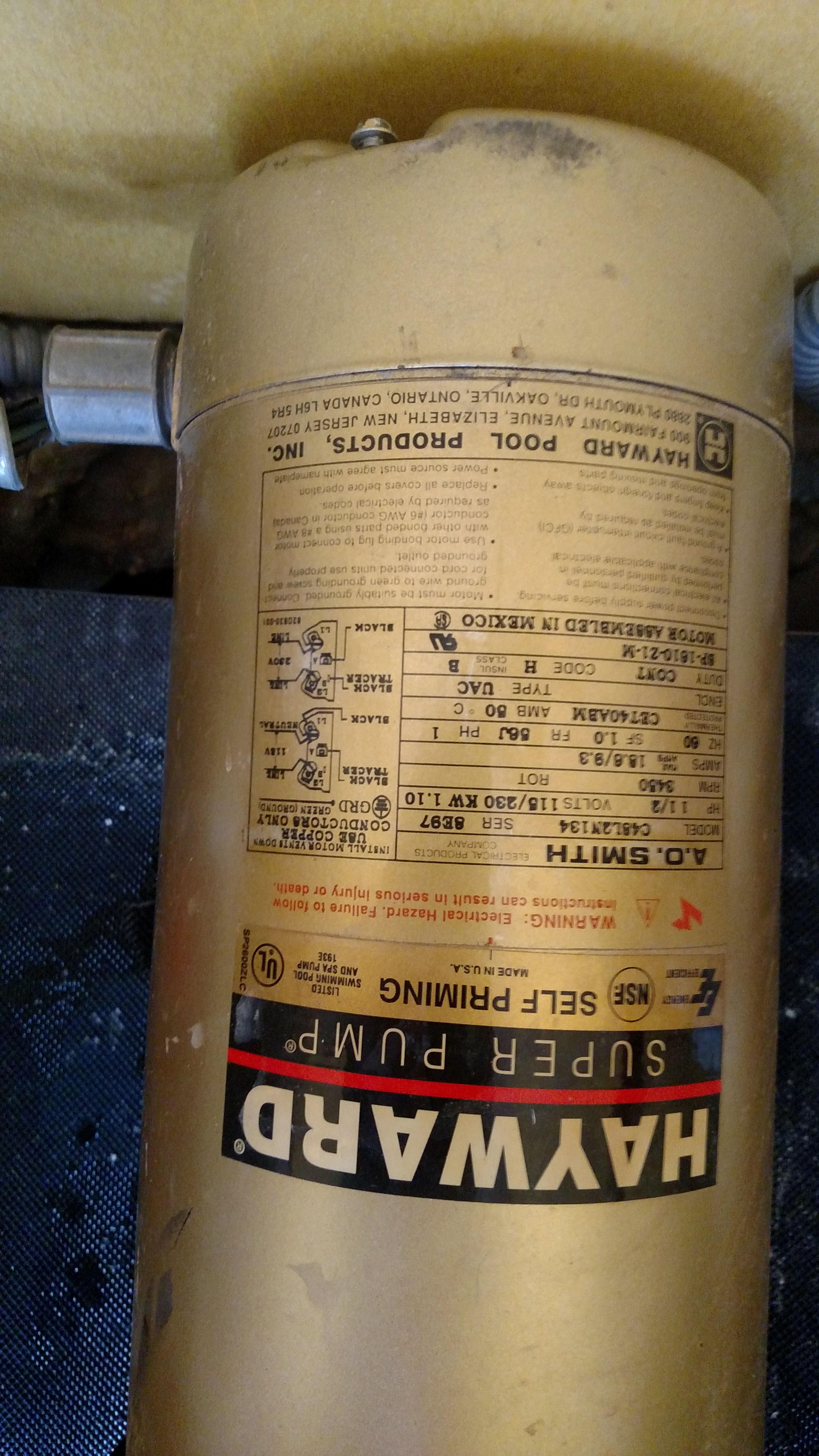 A.O. Smith Century® UST1152 - 1.5 HP Replacement Pool Pump Motor  Round Flange | 56J Frame | Single Speed