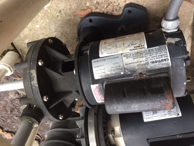 Pump Shaft Seal Assembly PSR200, 5/8" - PSR-200