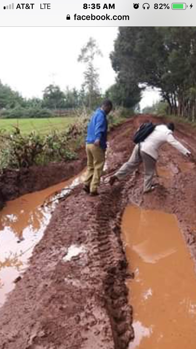 Little Giant Baptistry Heater Thermostat