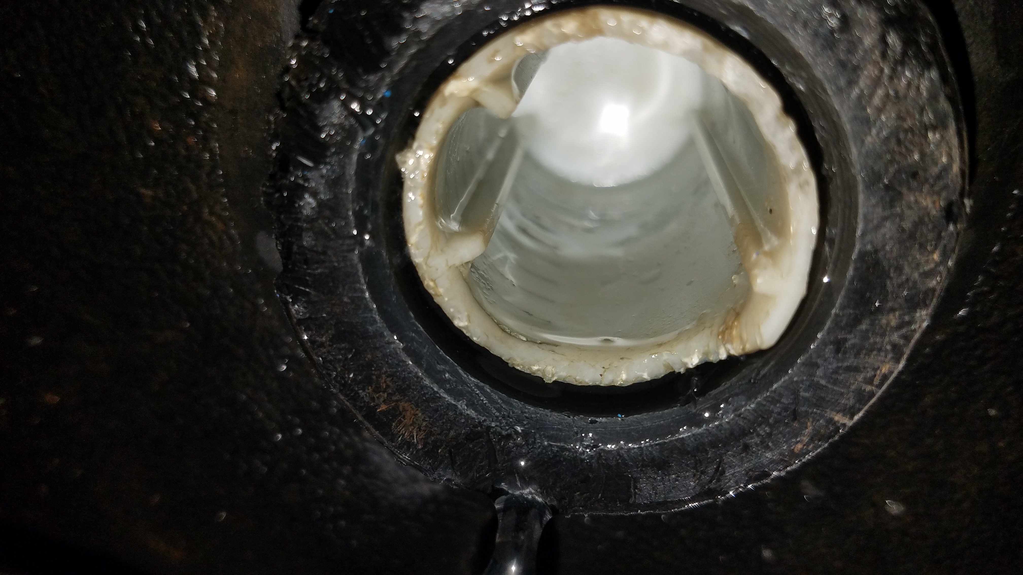 Pentair Drain Lateral - 24201-0058