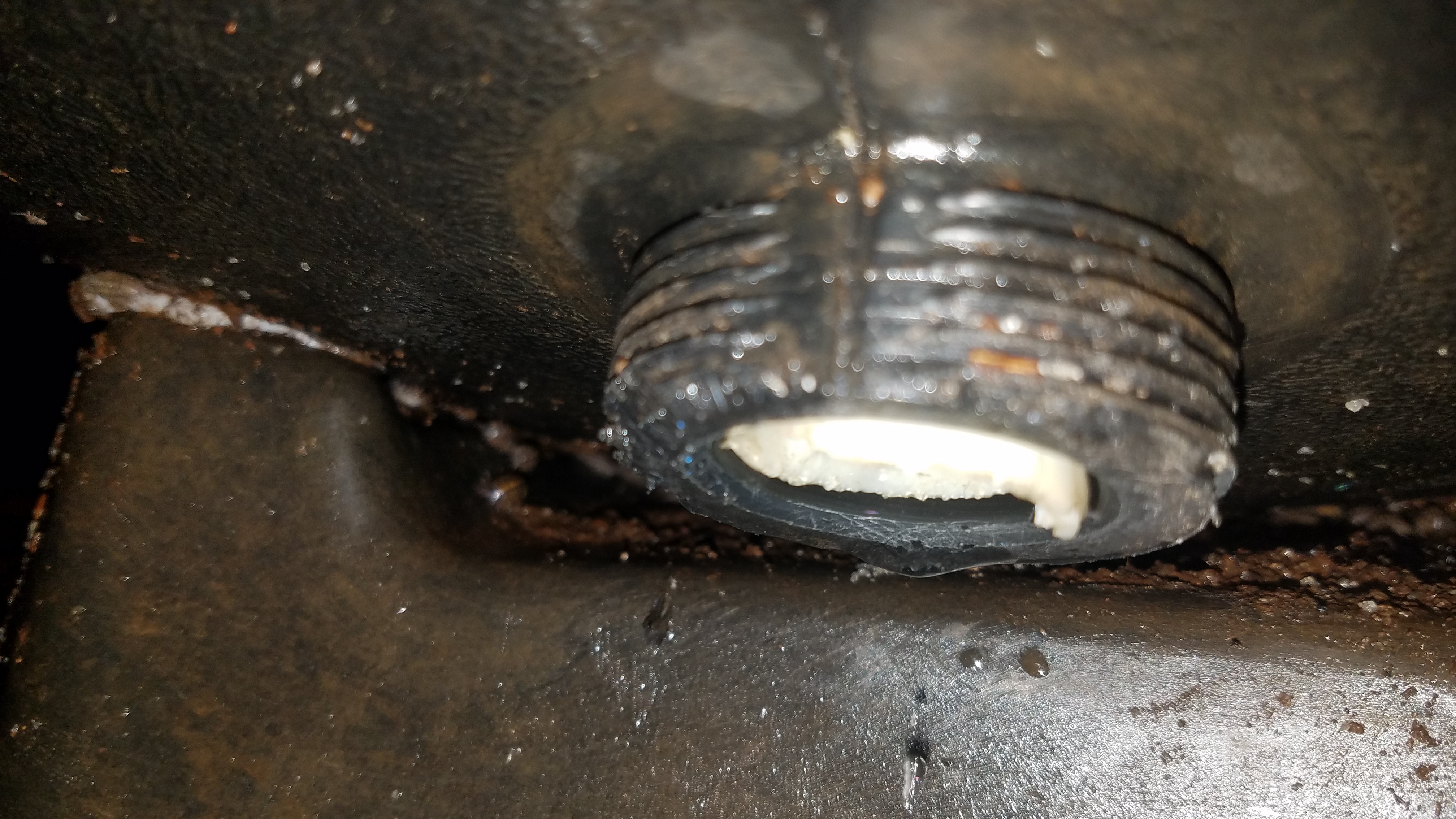 Pentair Drain Lateral - 24201-0058