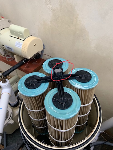 Pentair Filter Air Relief Strainer, 3/4" 172855