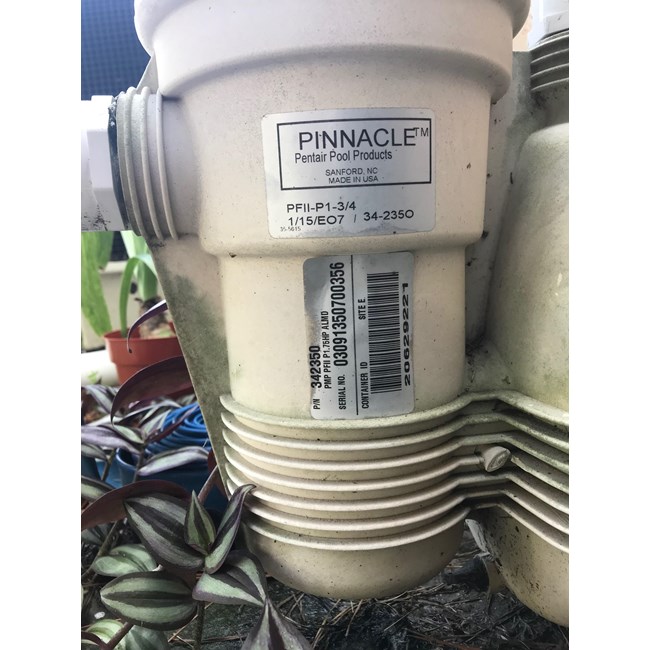Pentair Pinnacle Pump 3/4 HP - 342853