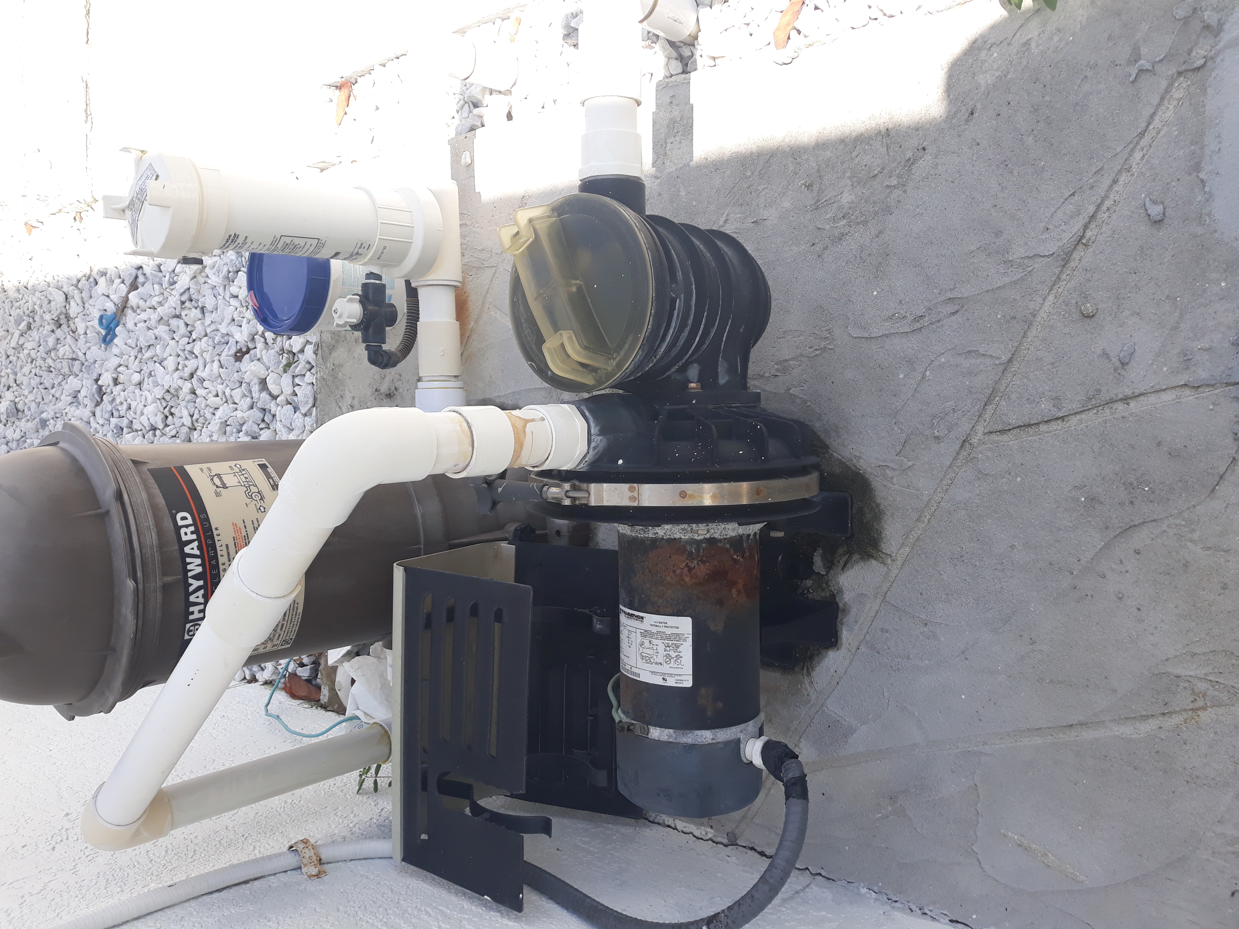 Pureline 1 H.P. In Ground Pool Pump - PL1600