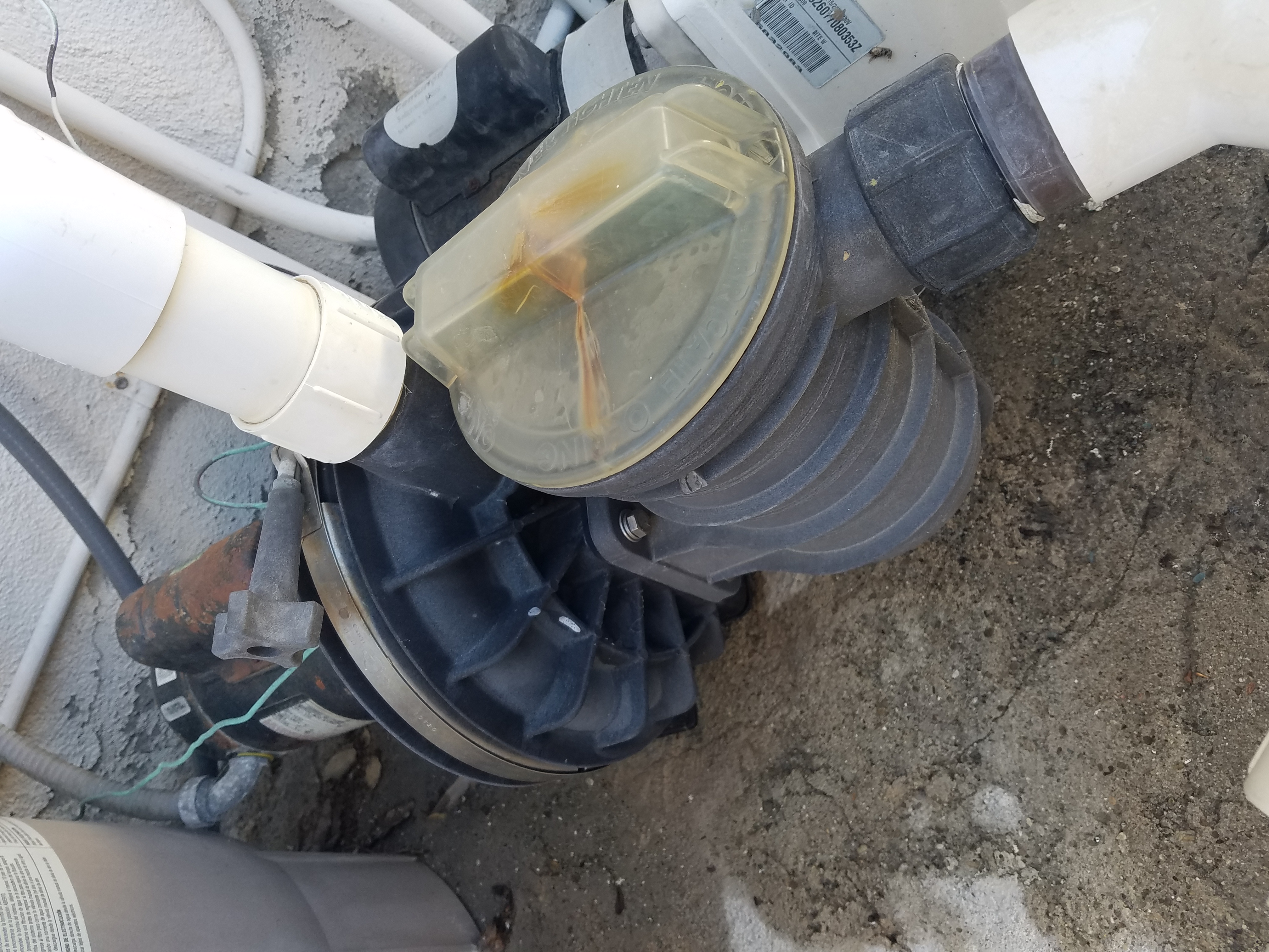 Pureline 1 H.P. In Ground Pool Pump - PL1600