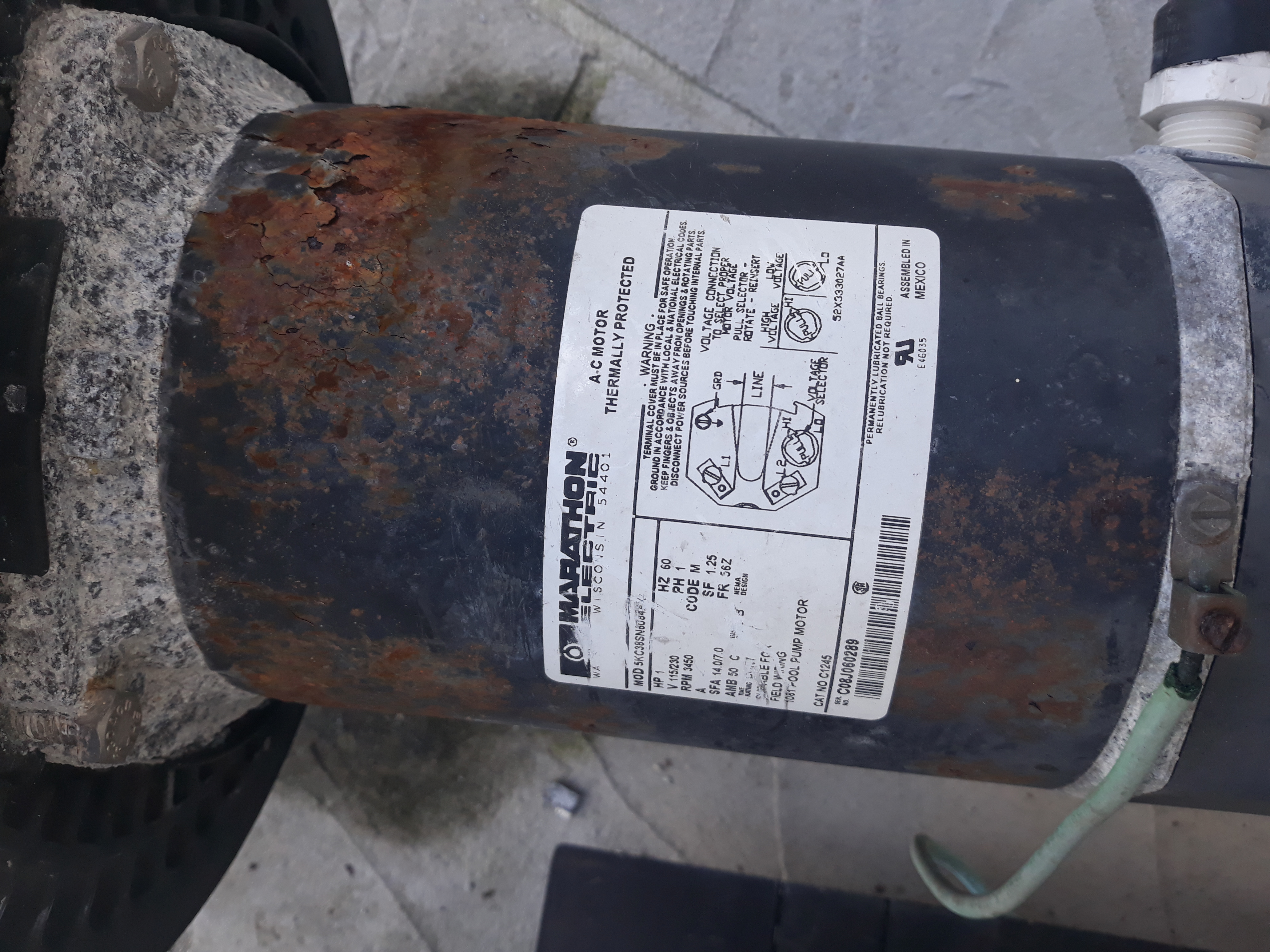 Pureline 1 H.P. In Ground Pool Pump - PL1600