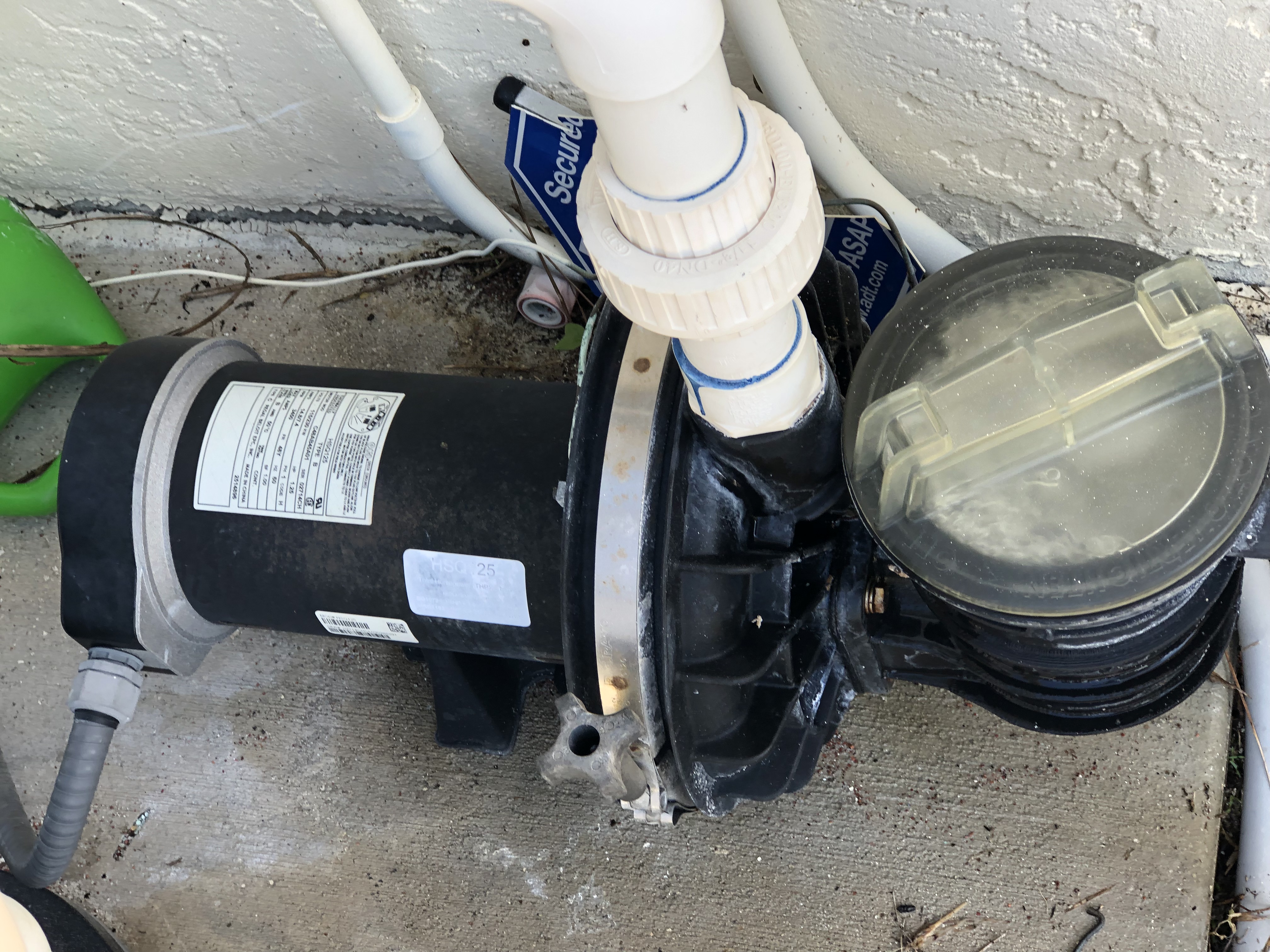 Pureline 1 H.P. In Ground Pool Pump - PL1600