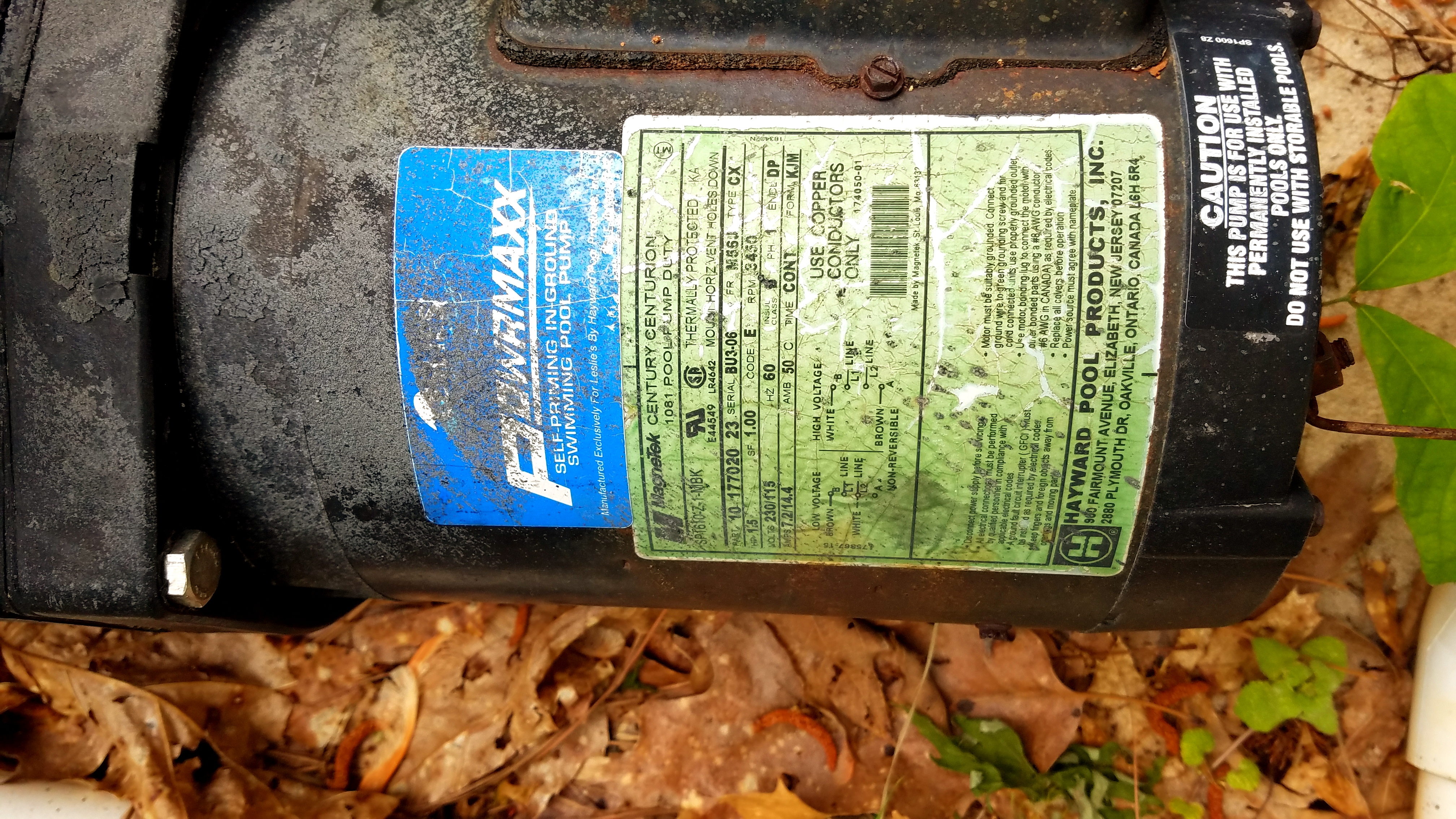 Pureline 1.5 H.P In Ground Pool Pump - PL1601