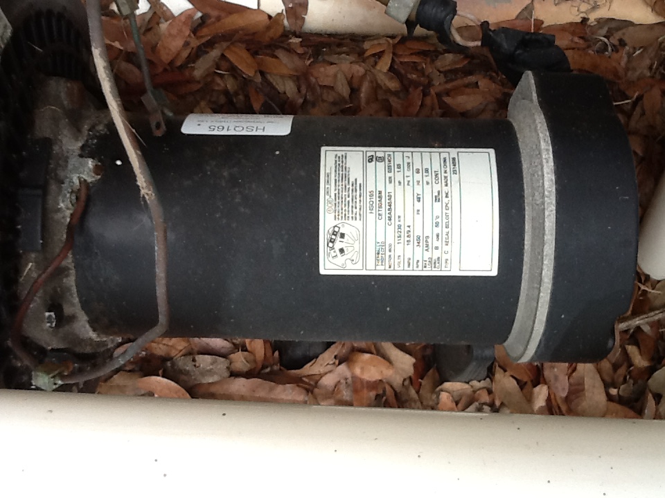 Pureline 1.5 H.P In Ground Pool Pump - PL1601