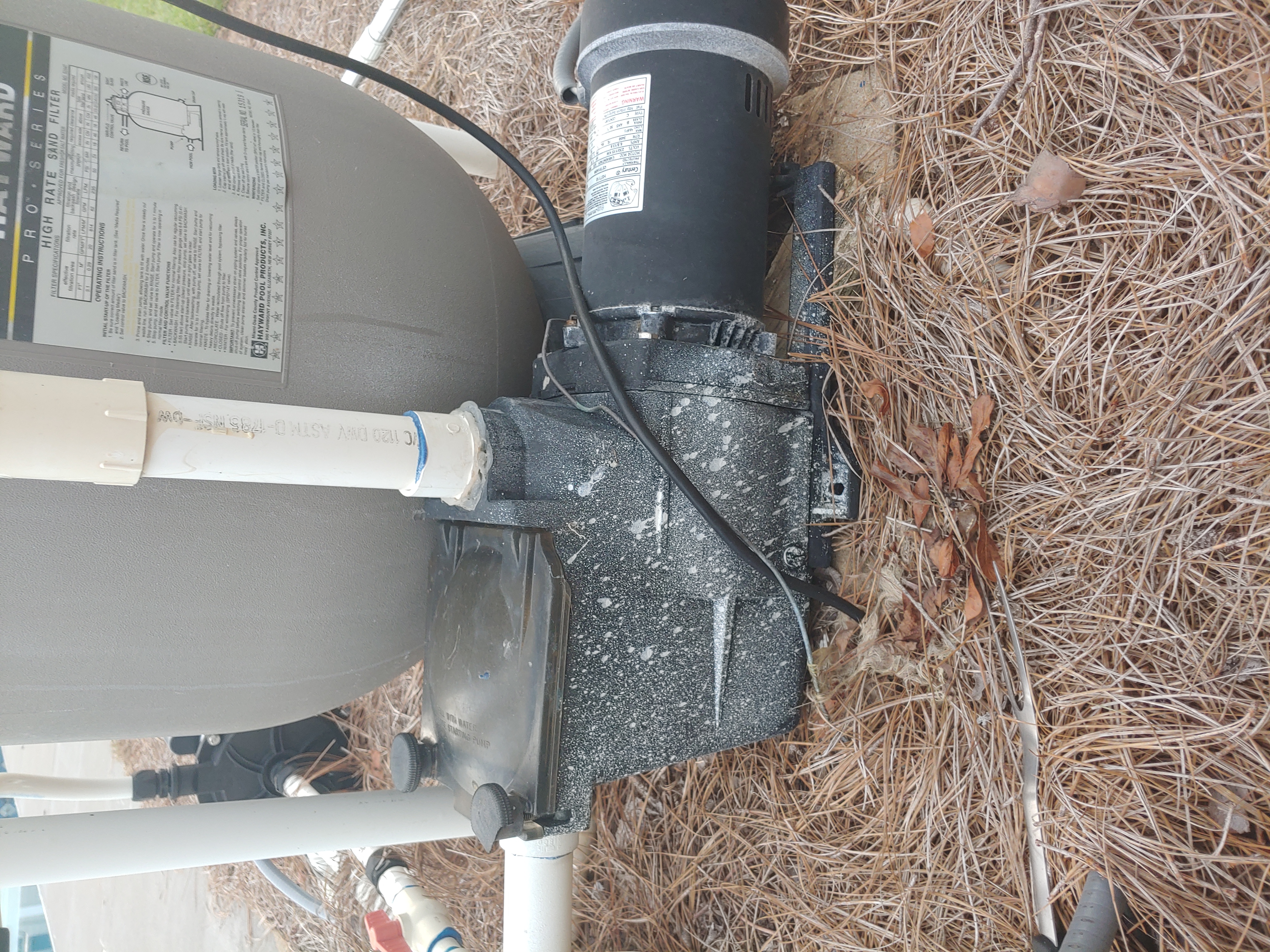 Pureline 1.5 H.P In Ground Pool Pump - PL1601