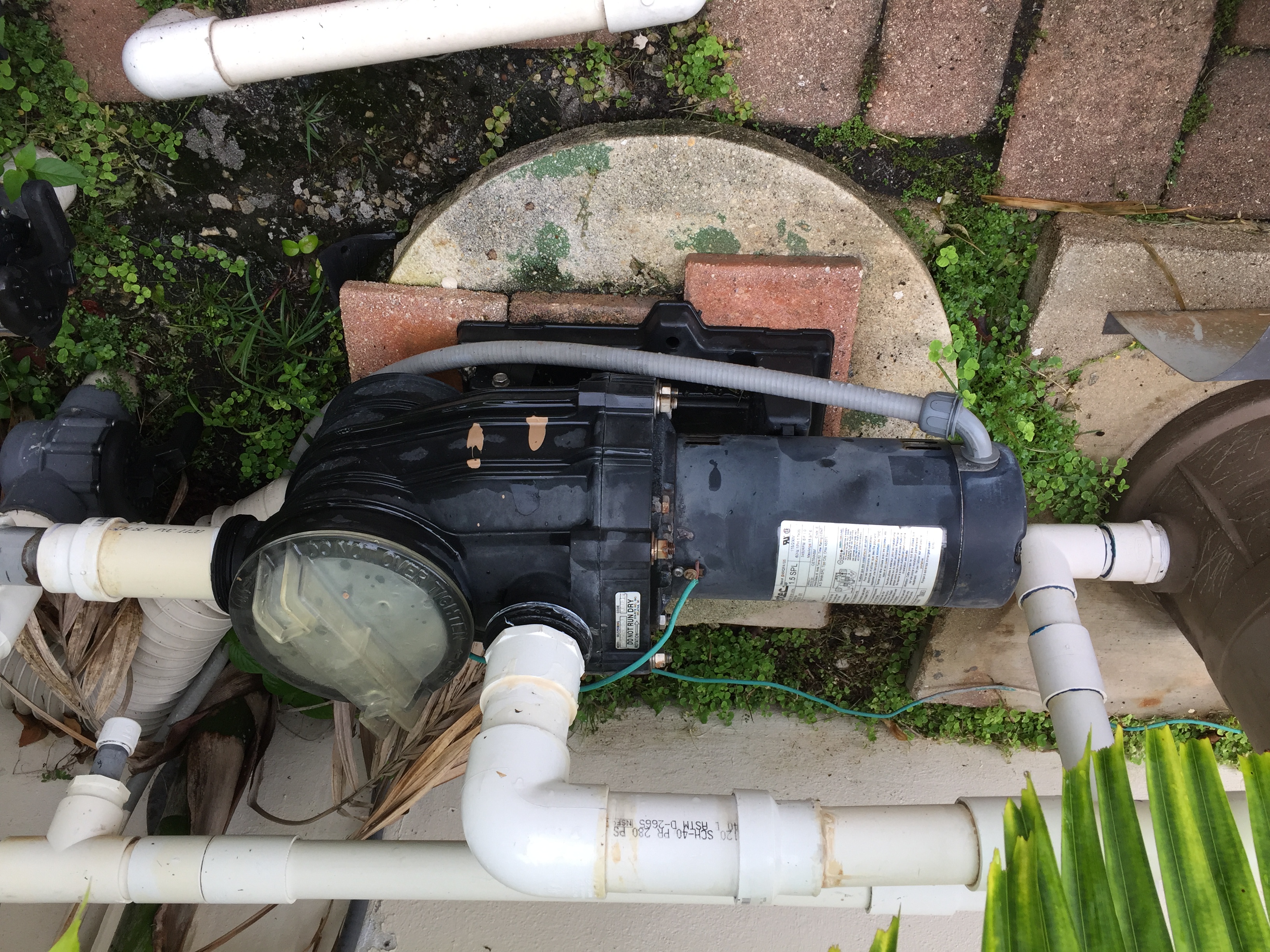 Pureline 1.5 H.P In Ground Pool Pump - PL1601